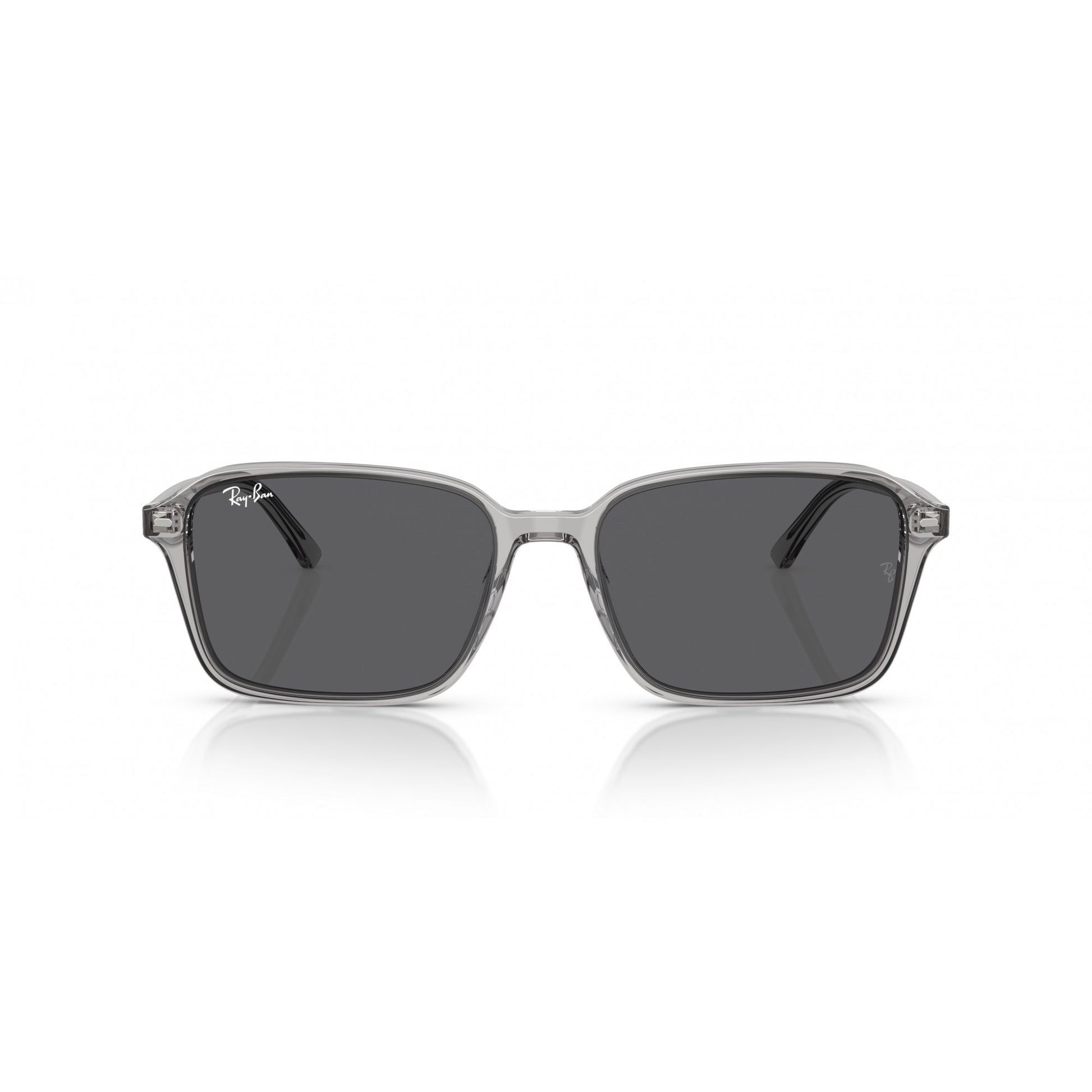 Ray-Ban 0RB2231