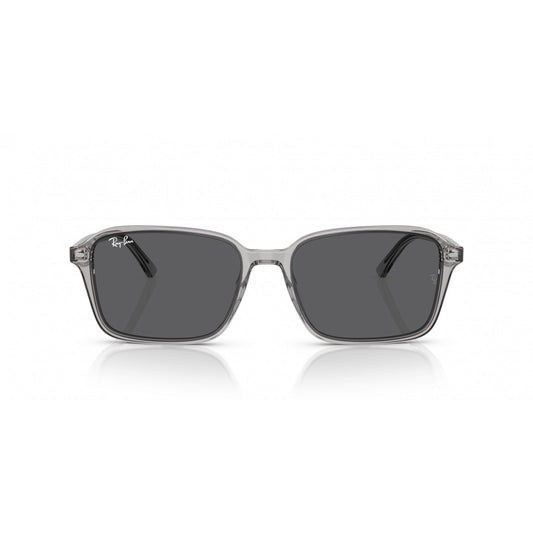 Ray-Ban 0RB2231