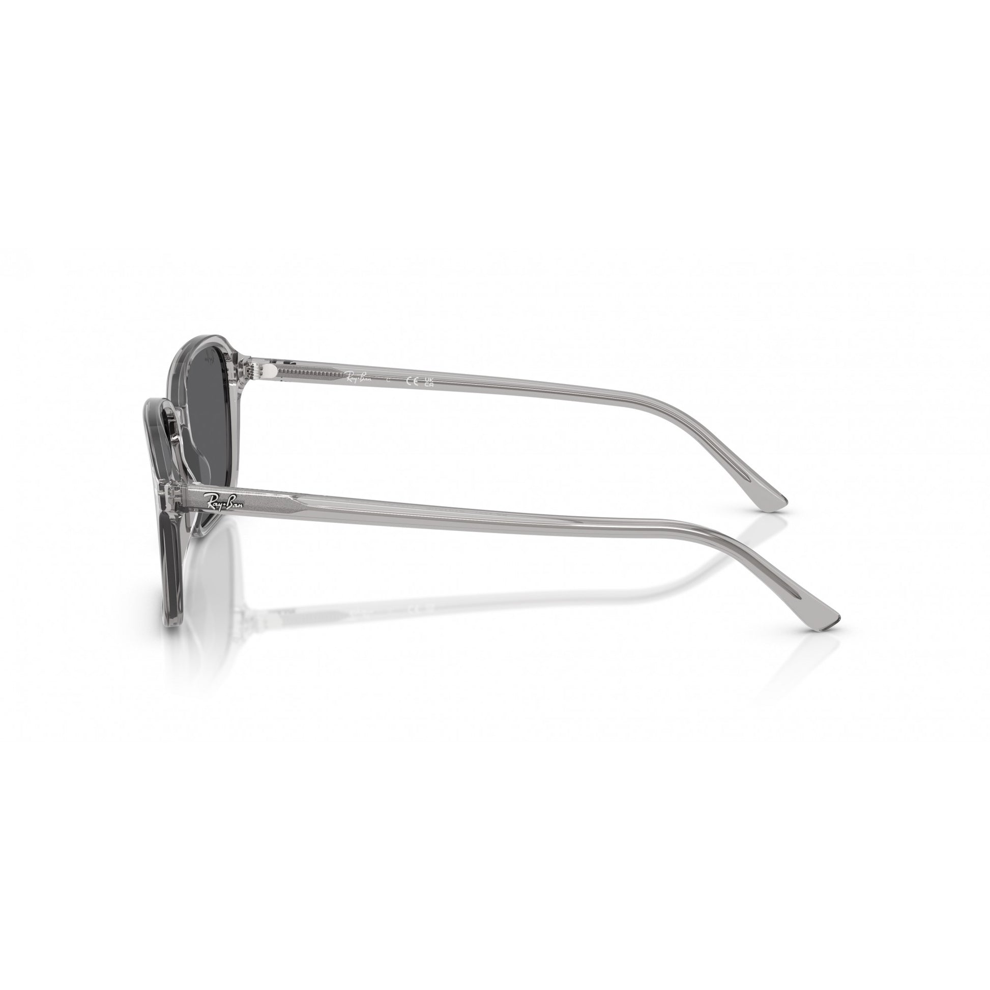 Ray-Ban 0RB2231