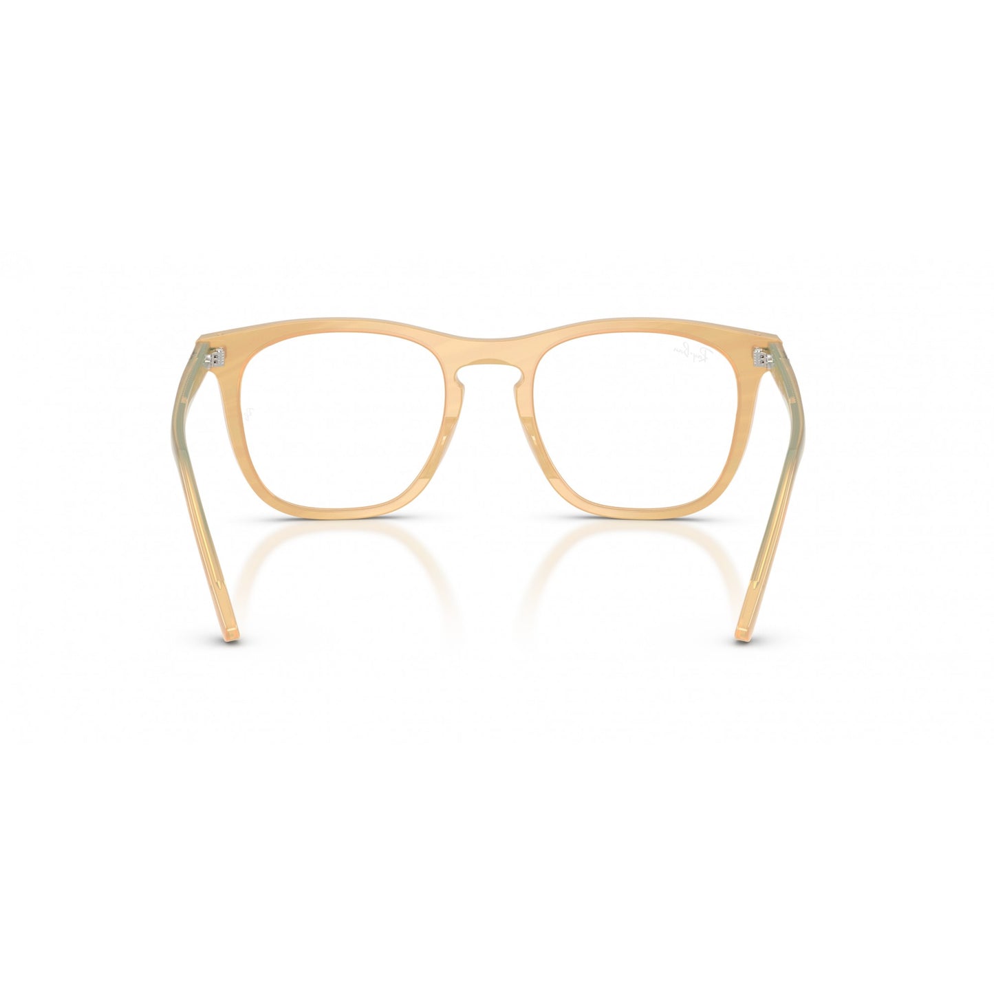 Ray-Ban 0RX2210V