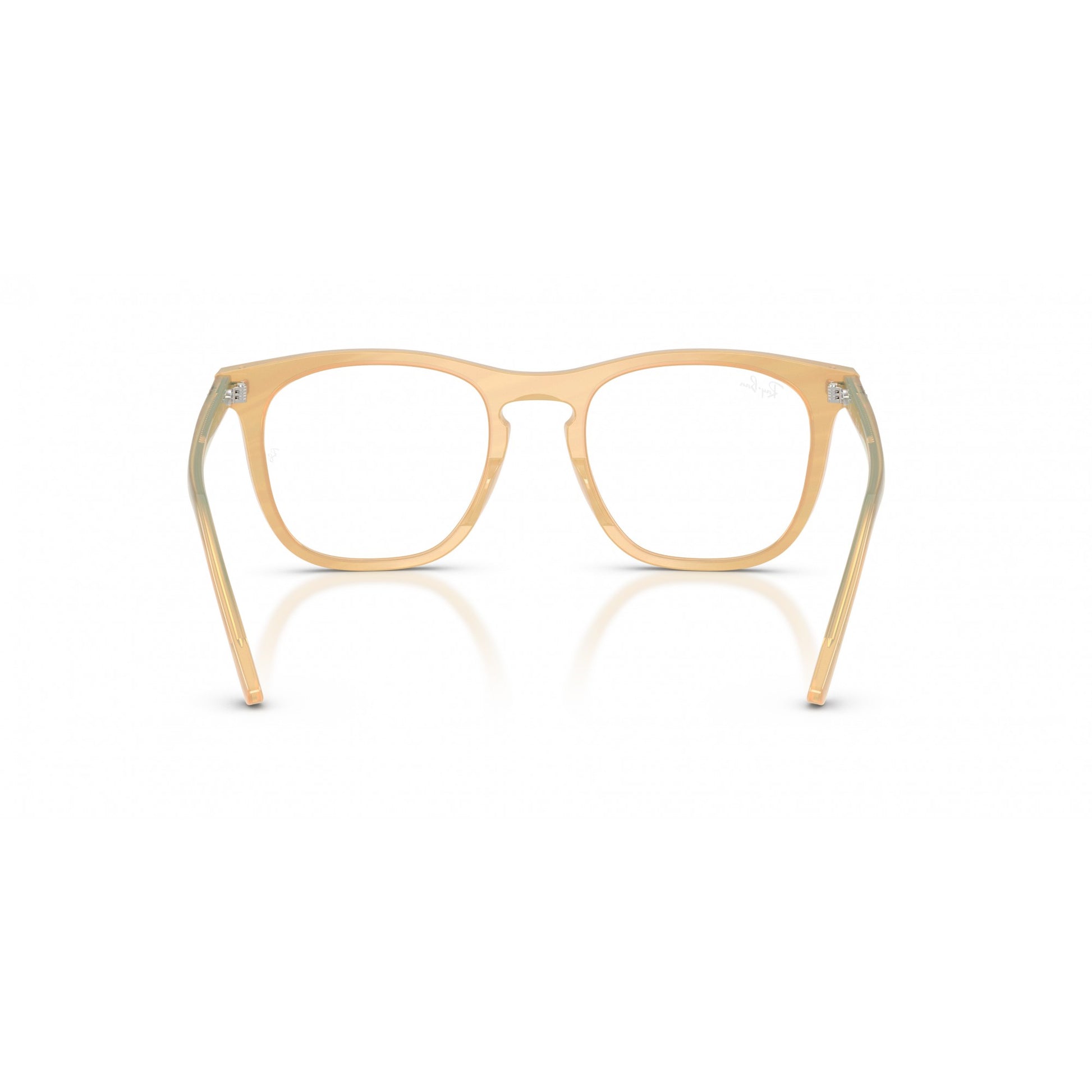 Ray-Ban 0RX2210V