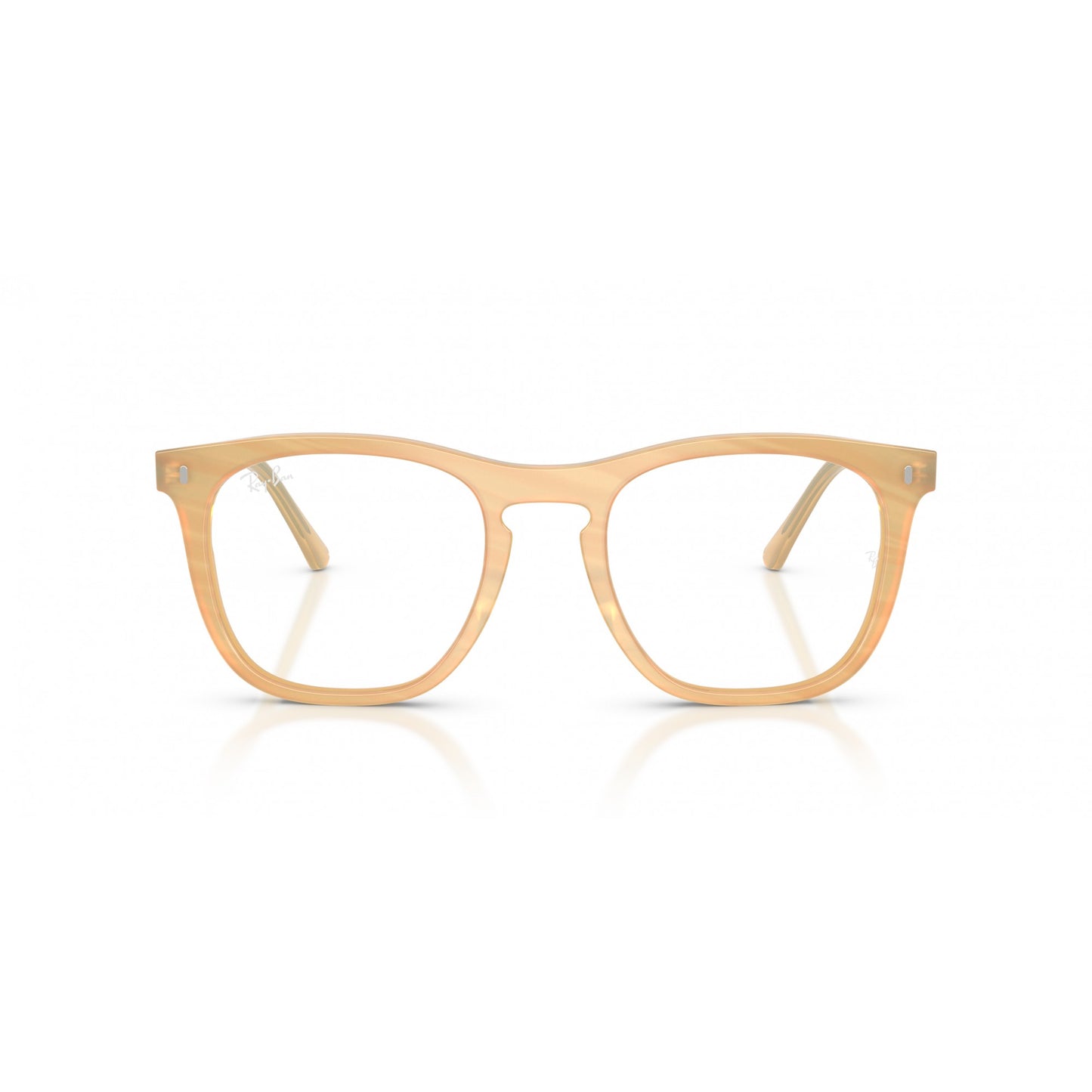 Ray-Ban 0RX2210V
