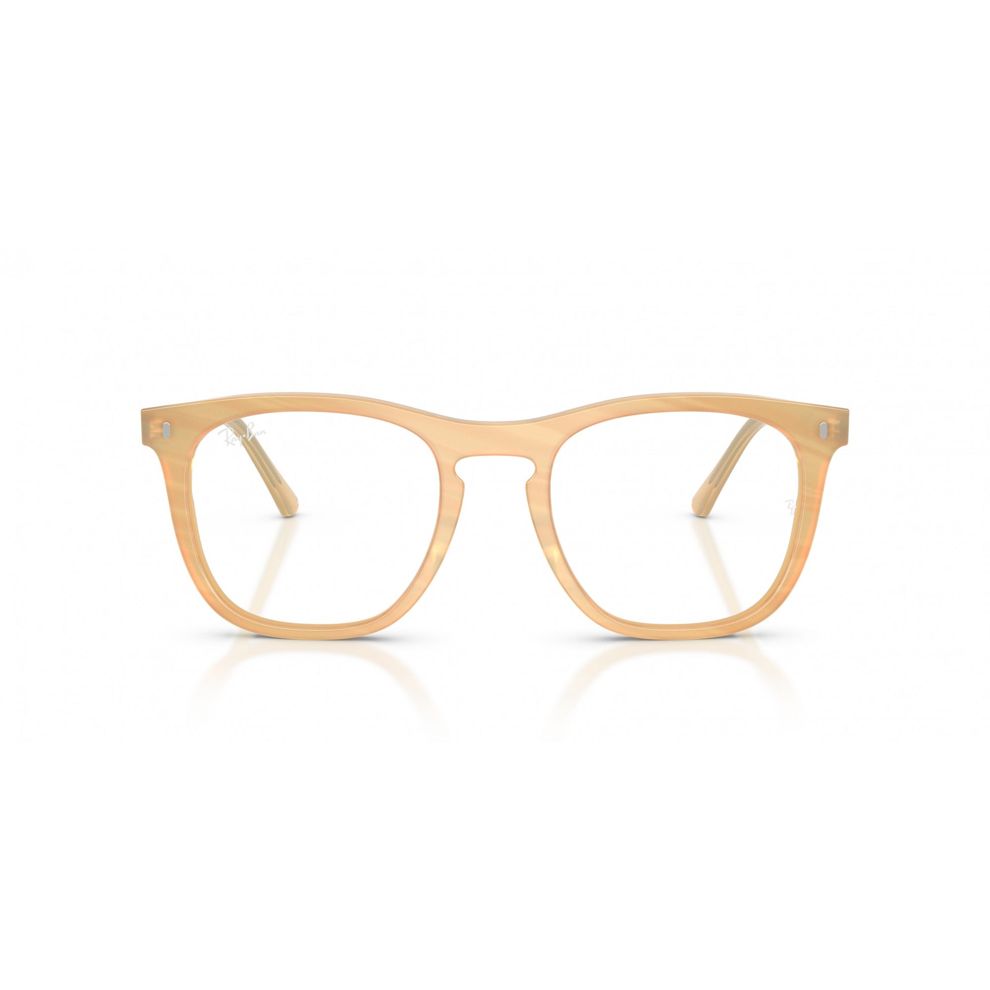 Ray-Ban 0RX2210V