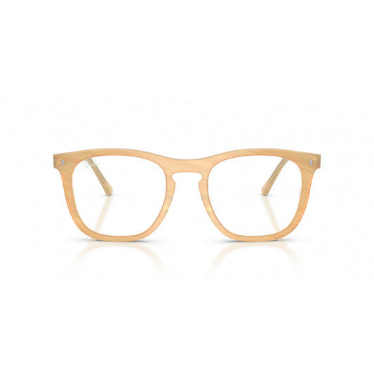 Ray-Ban 0RX2210V
