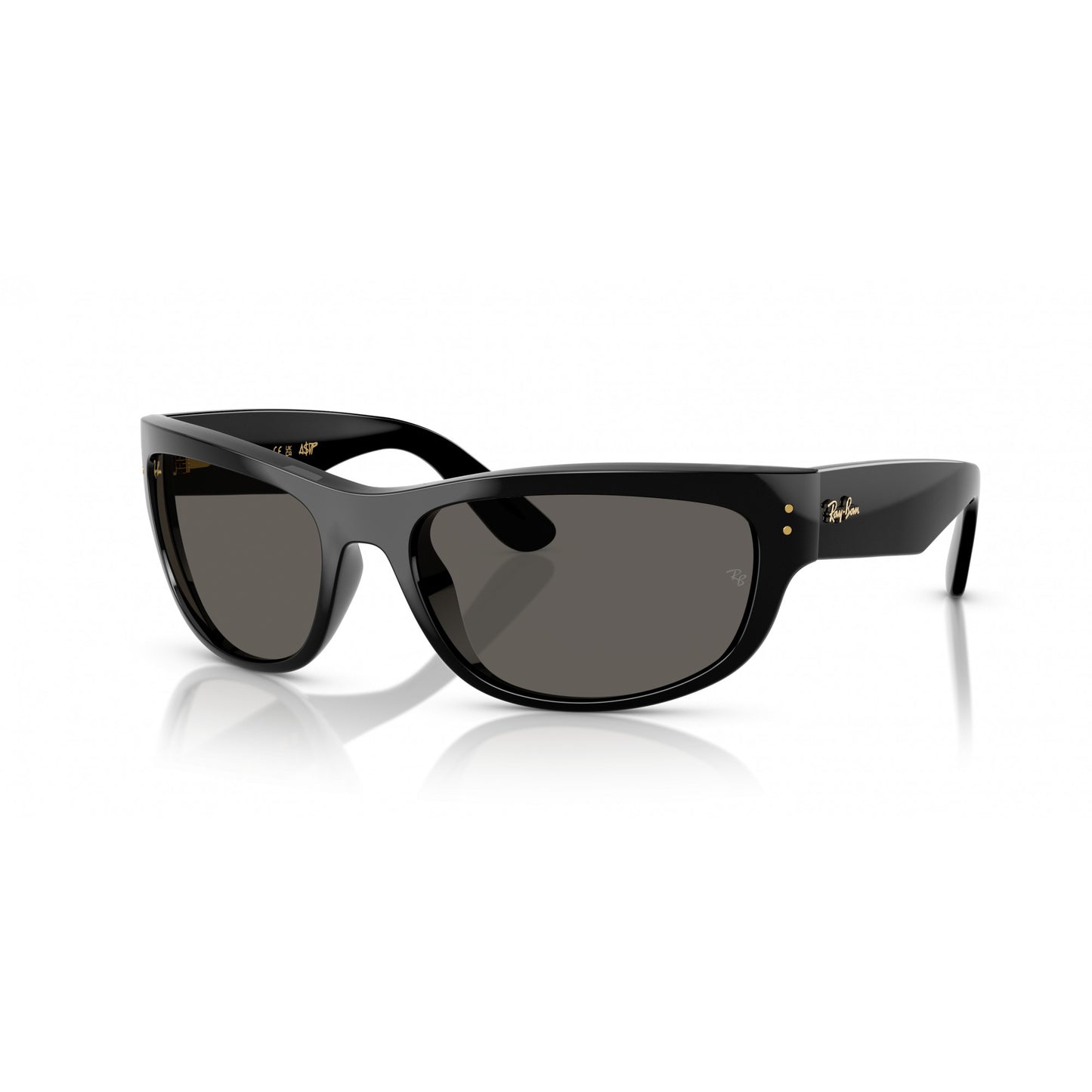 Ray-Ban 0RB2289