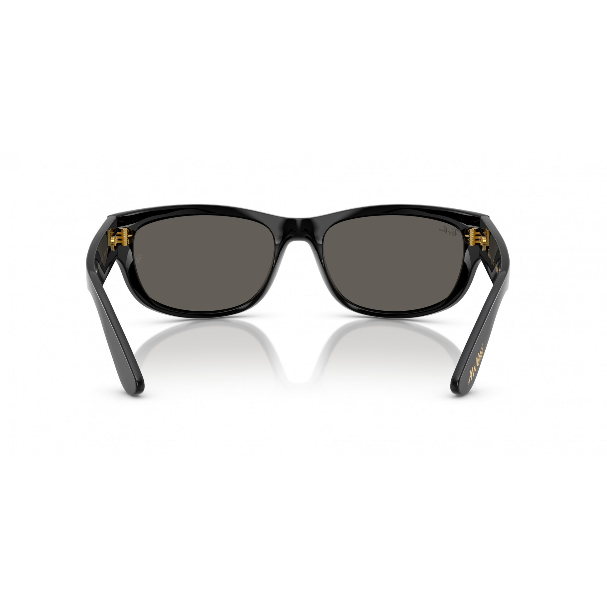 Ray-Ban 0RB2289