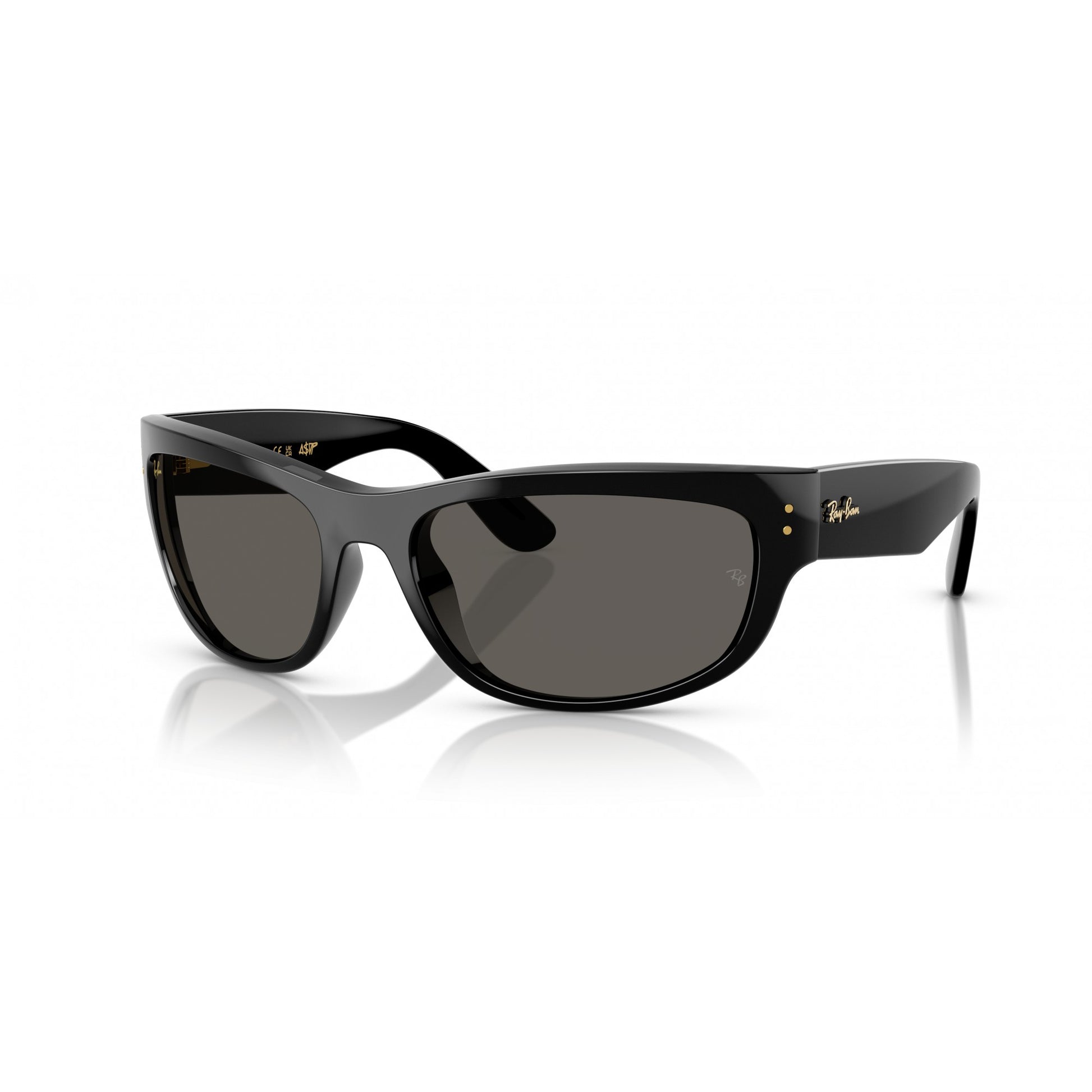 Ray-Ban 0RB2289