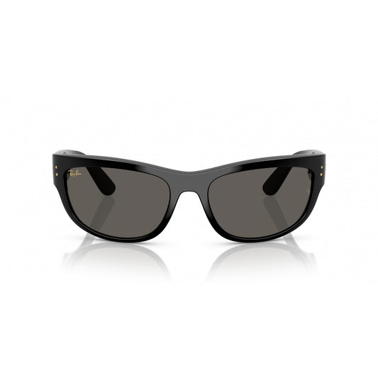 Ray-Ban 0RB2289