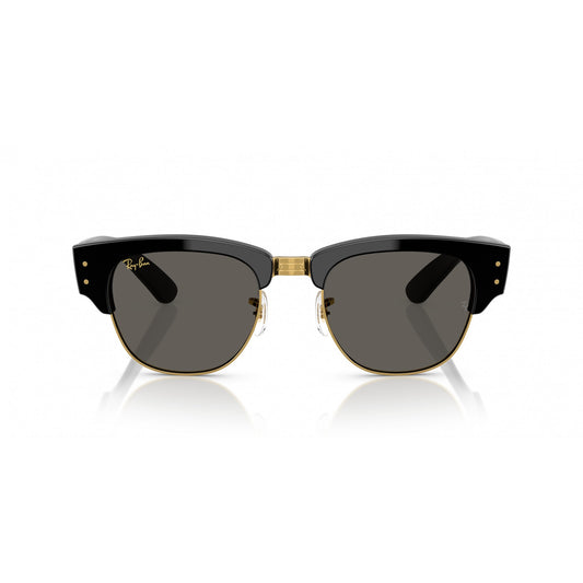 Ray-Ban 0RB0316S