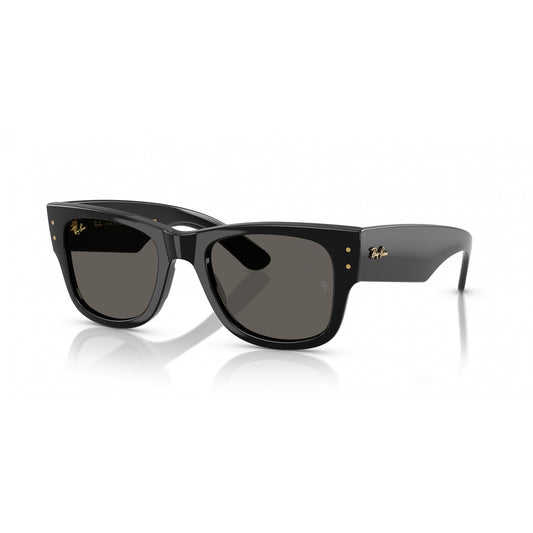 Ray-Ban 0RB0840S
