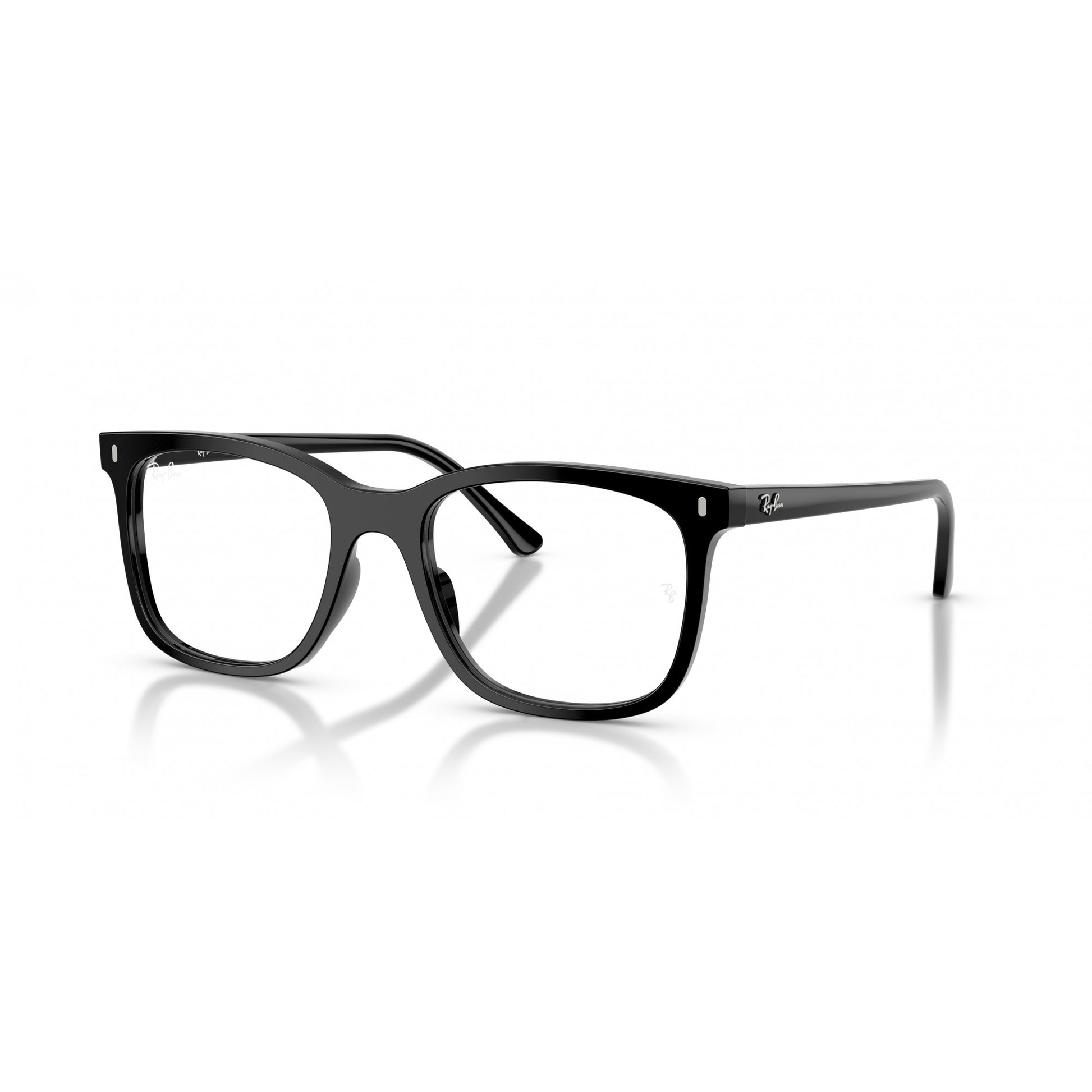 Ray-Ban 0RX5446