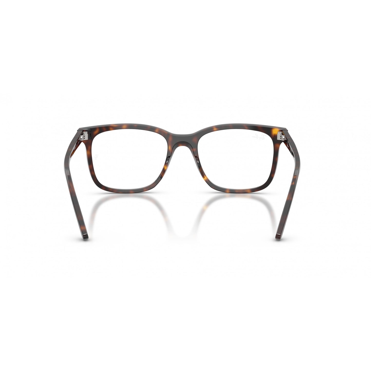 Ray-Ban 0RX5446