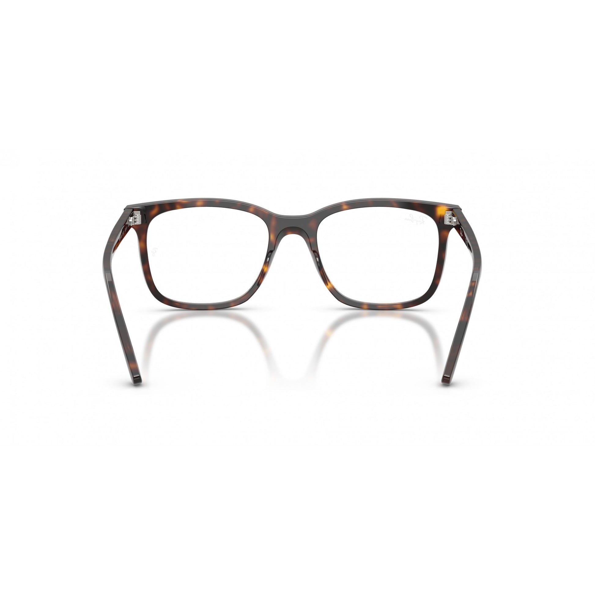 Ray-Ban 0RX5446