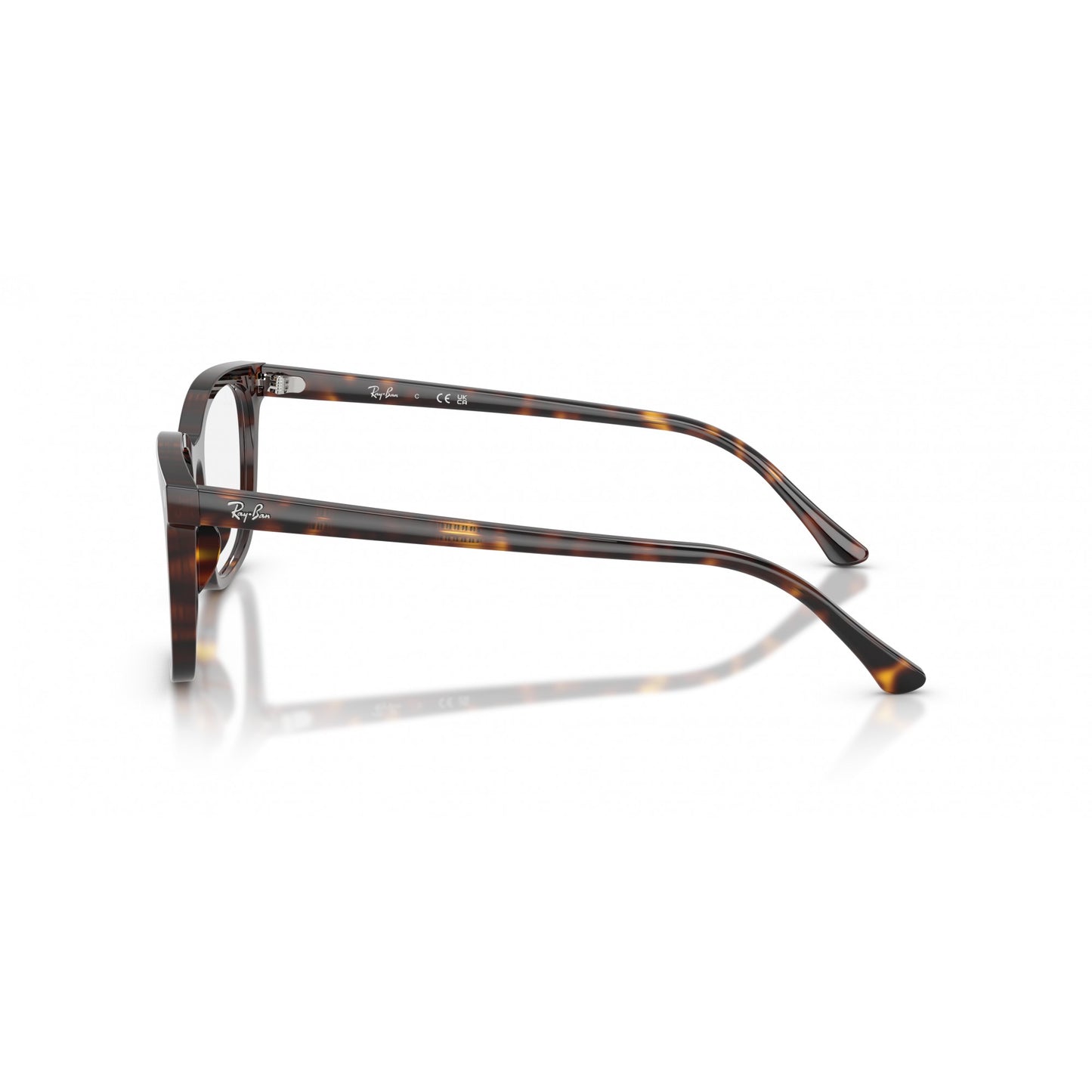 Ray-Ban 0RX5446