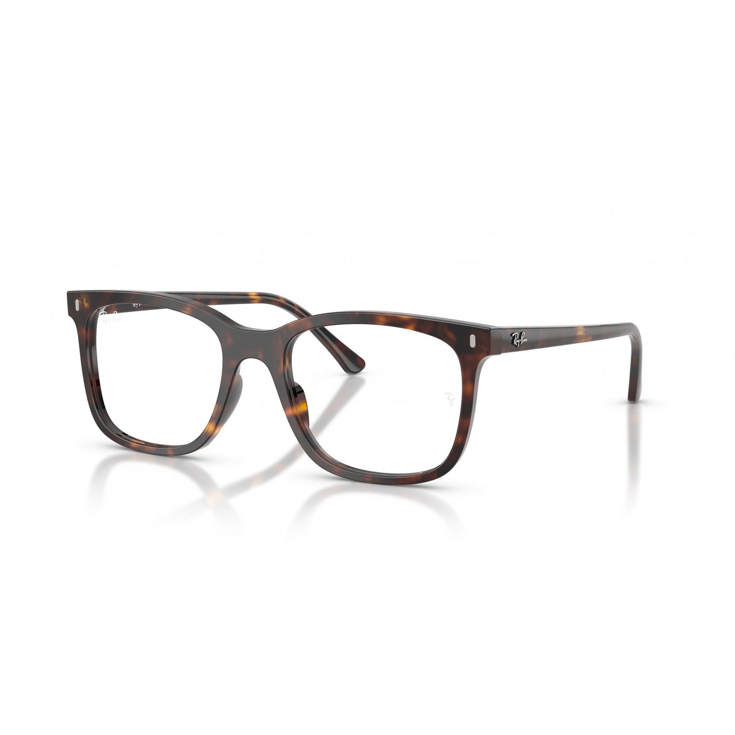 Ray-Ban 0RX5446