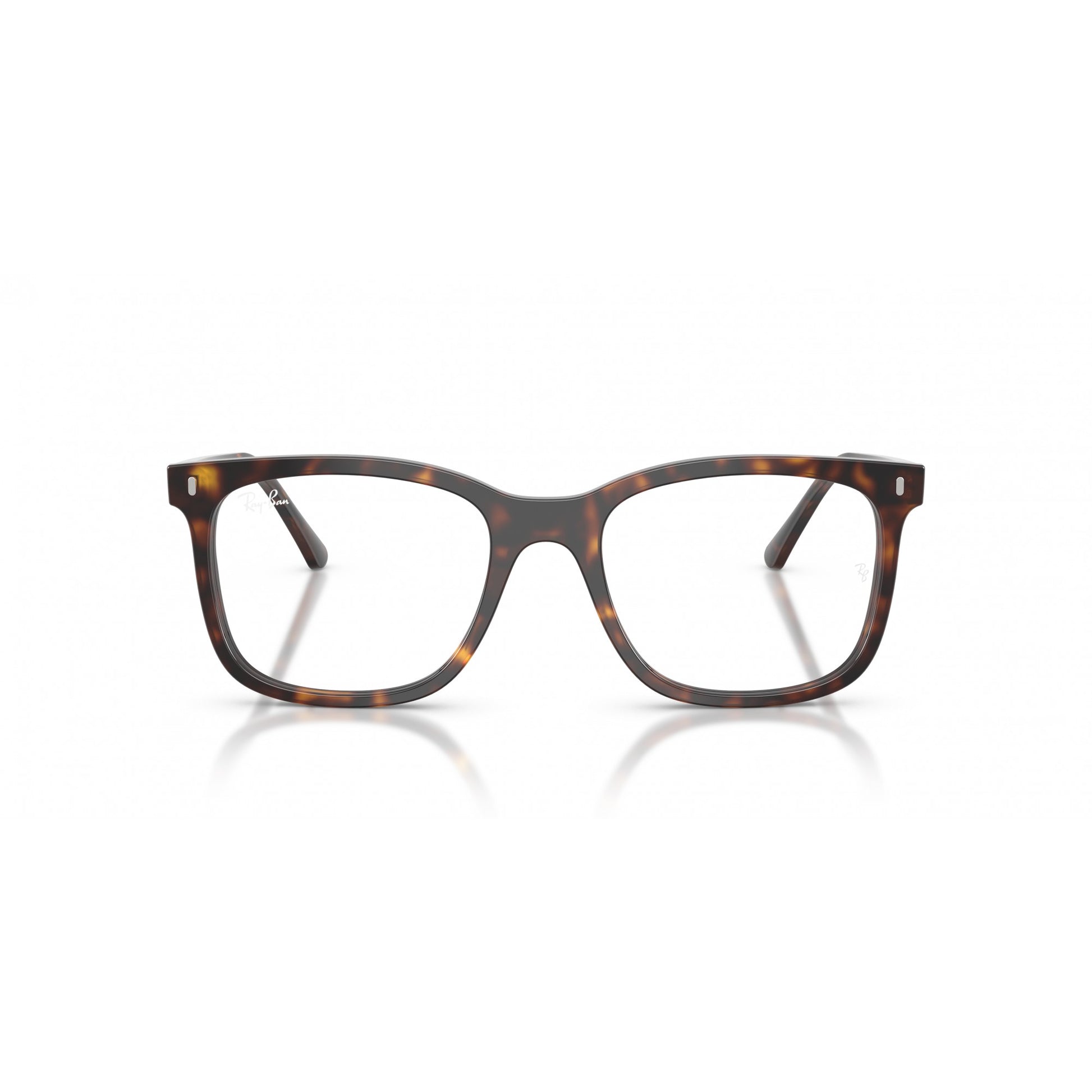 Ray-Ban 0RX5446