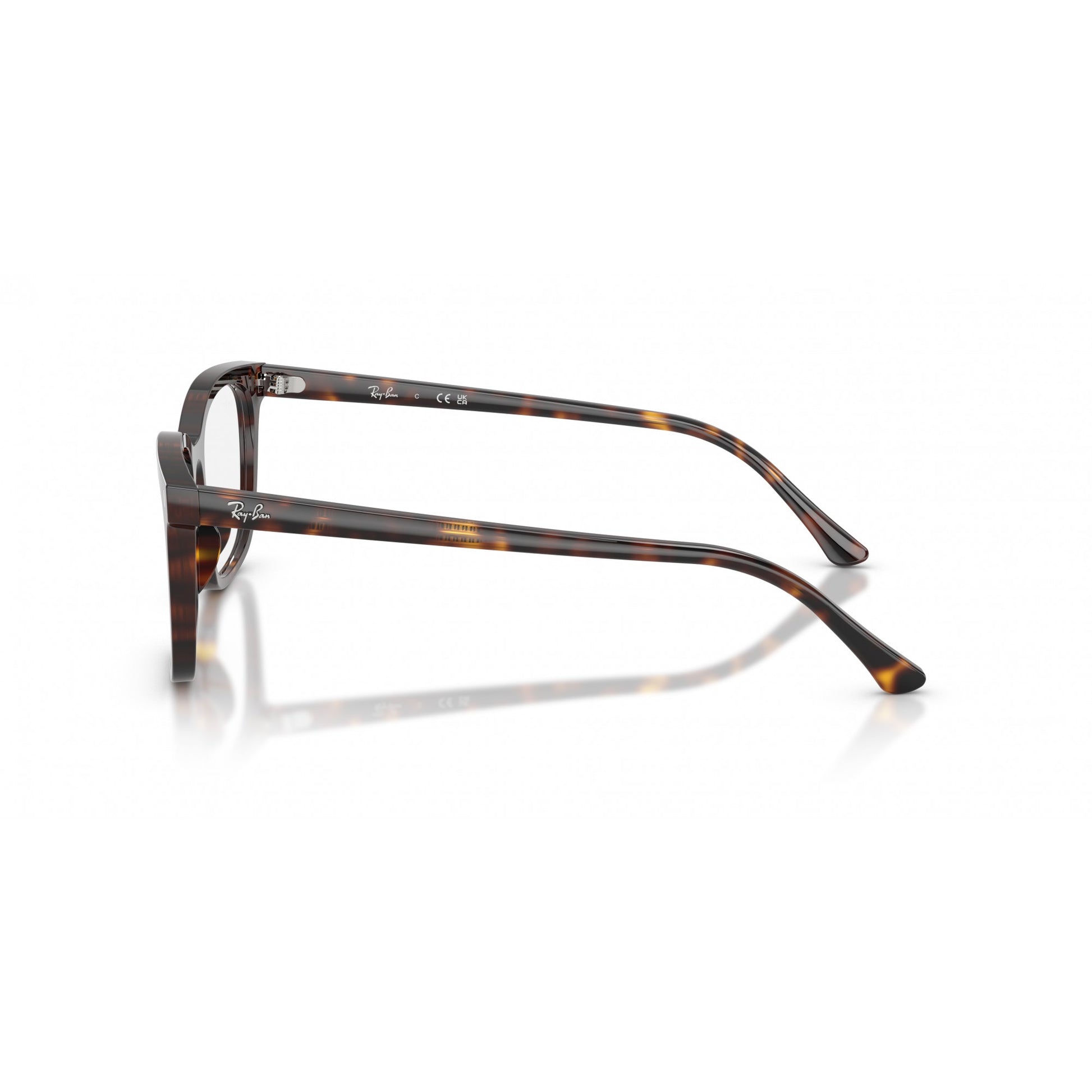 Ray-Ban 0RX5446