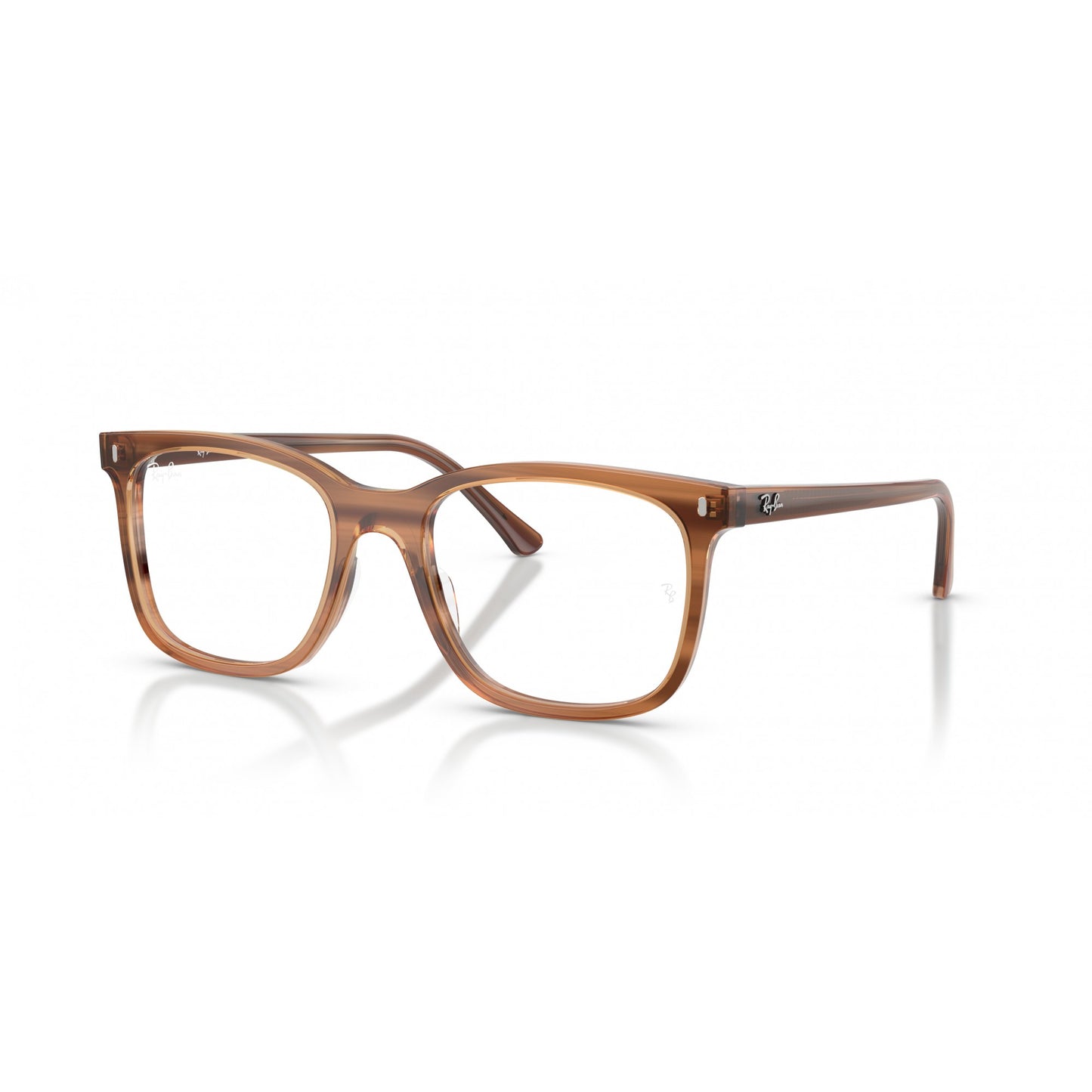 Ray-Ban 0RX5446