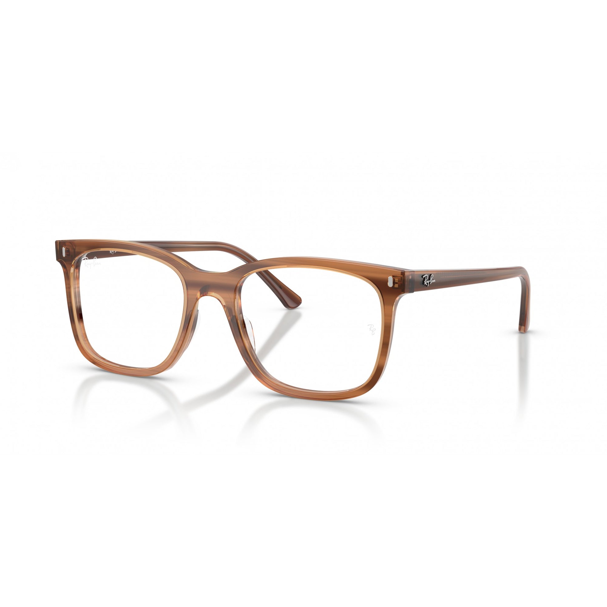 Ray-Ban 0RX5446