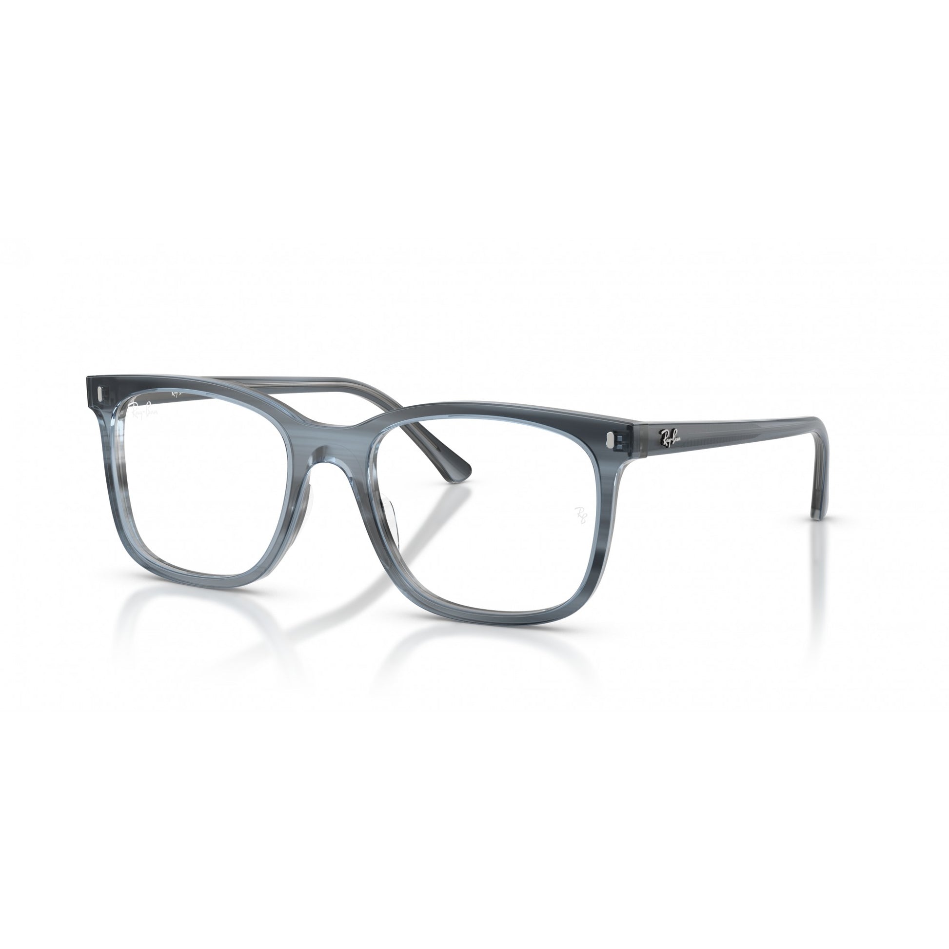 Ray-Ban 0RX5446