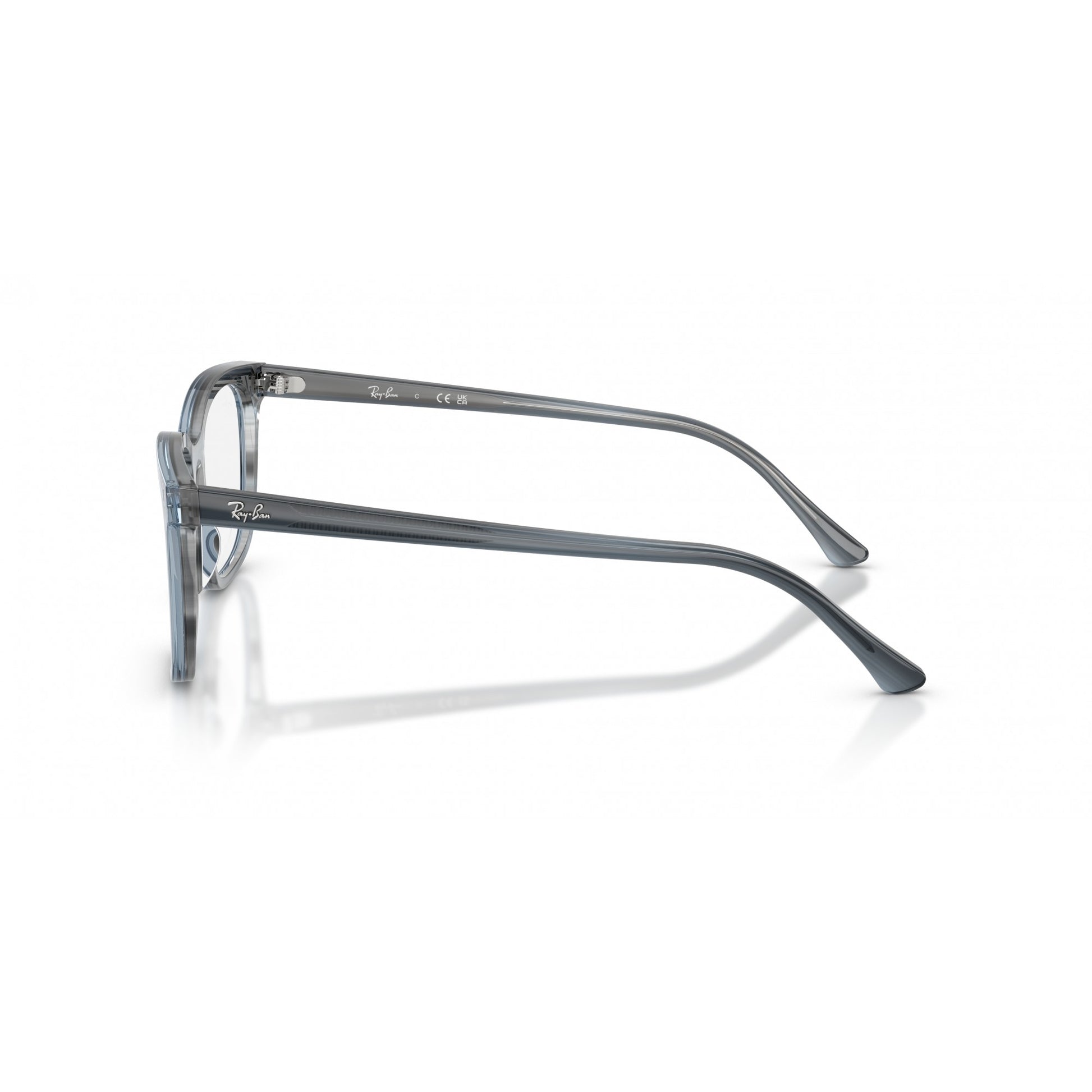 Ray-Ban 0RX5446