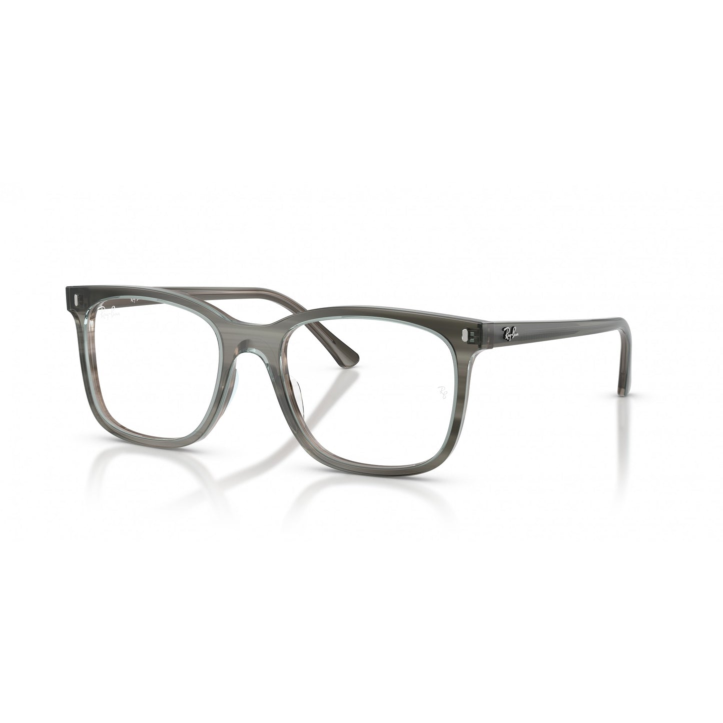 Ray-Ban 0RX5446