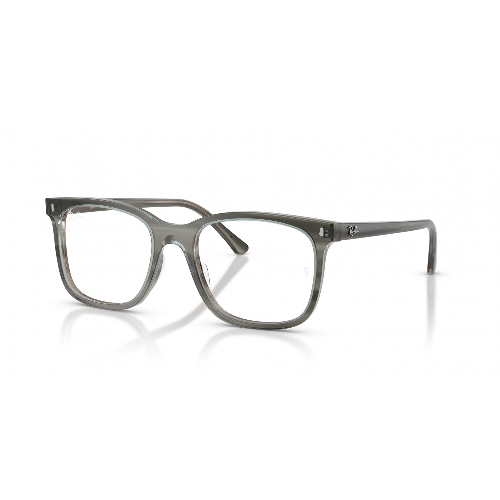 Ray-Ban 0RX5446