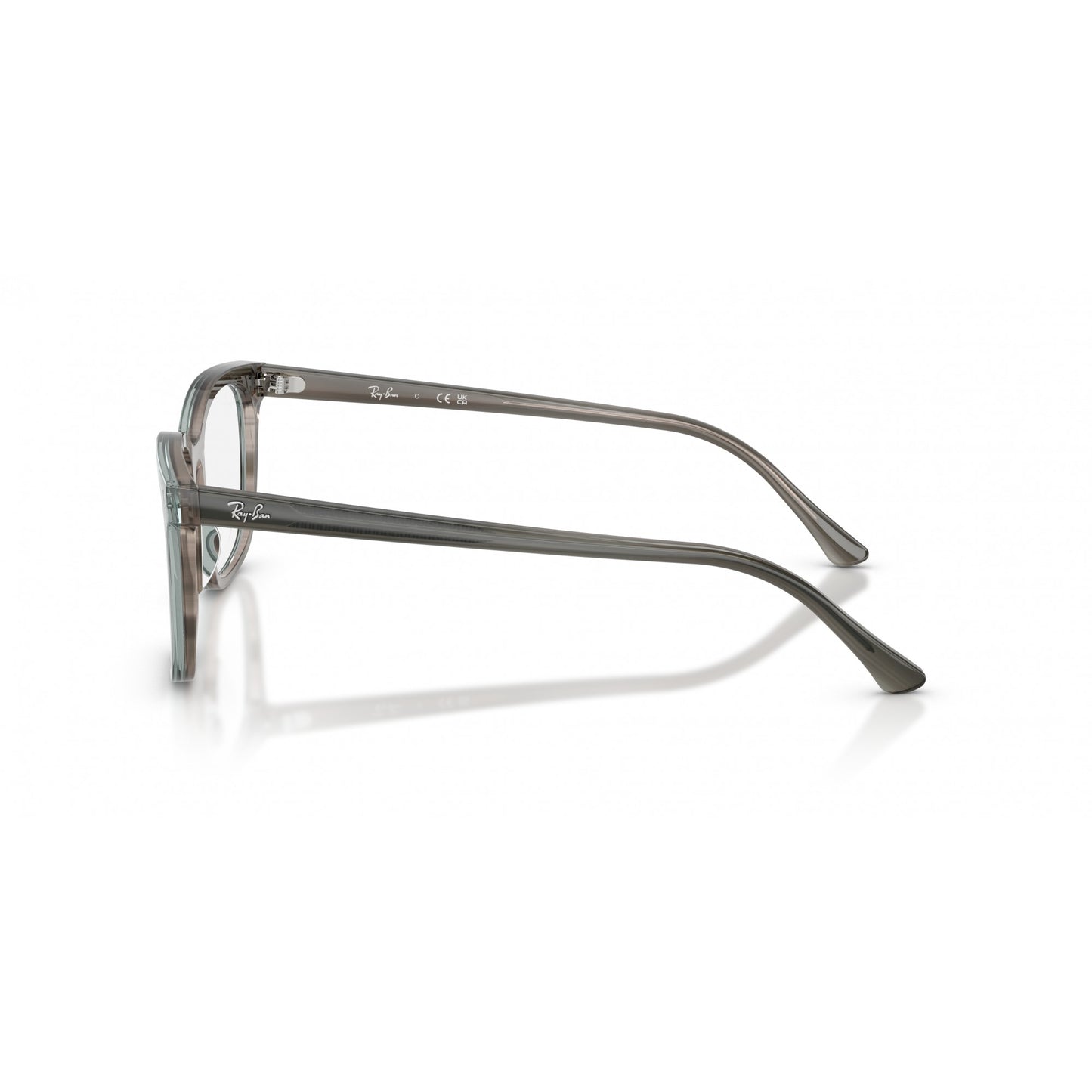 Ray-Ban 0RX5446