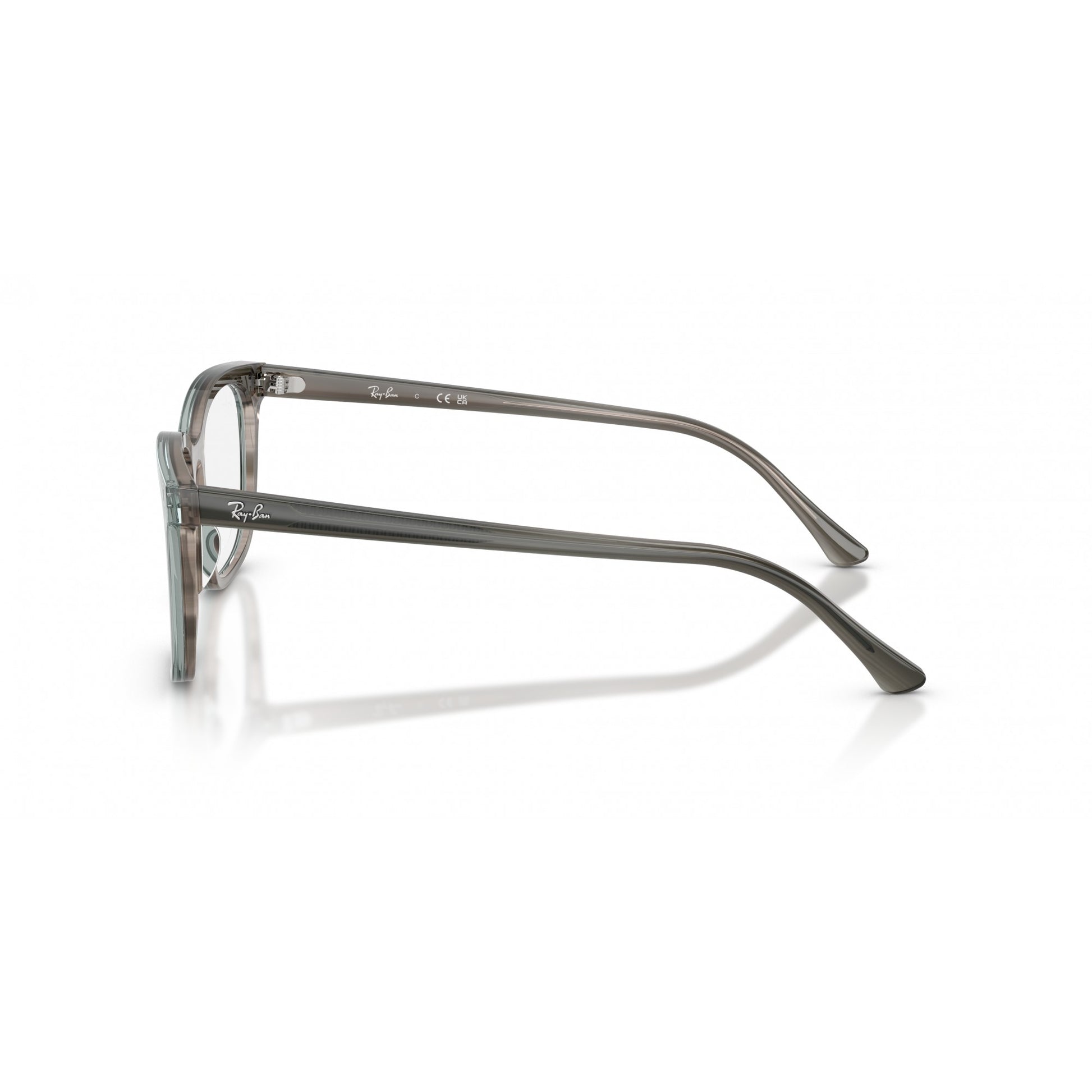 Ray-Ban 0RX5446
