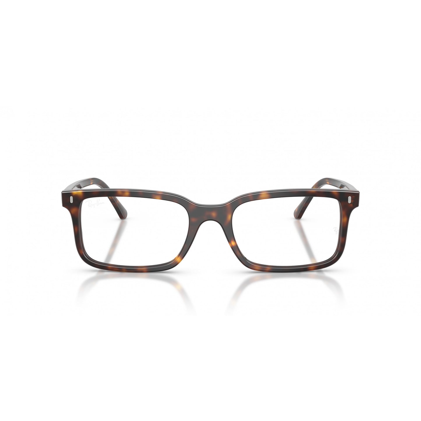 Ray-Ban 0RX5445