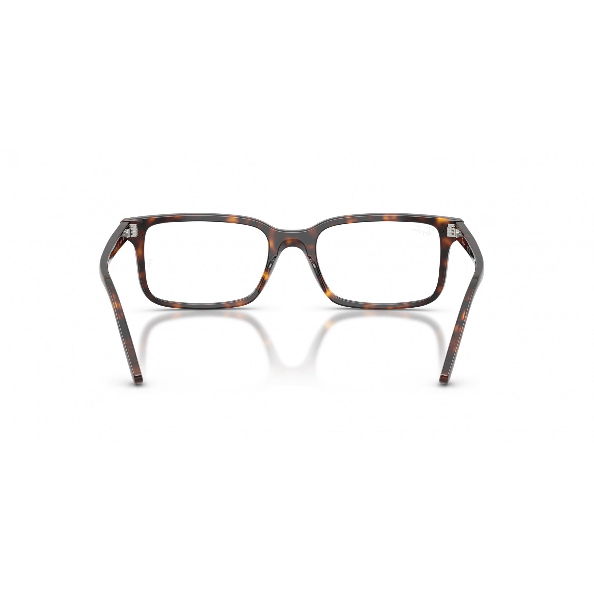 Ray-Ban 0RX5445