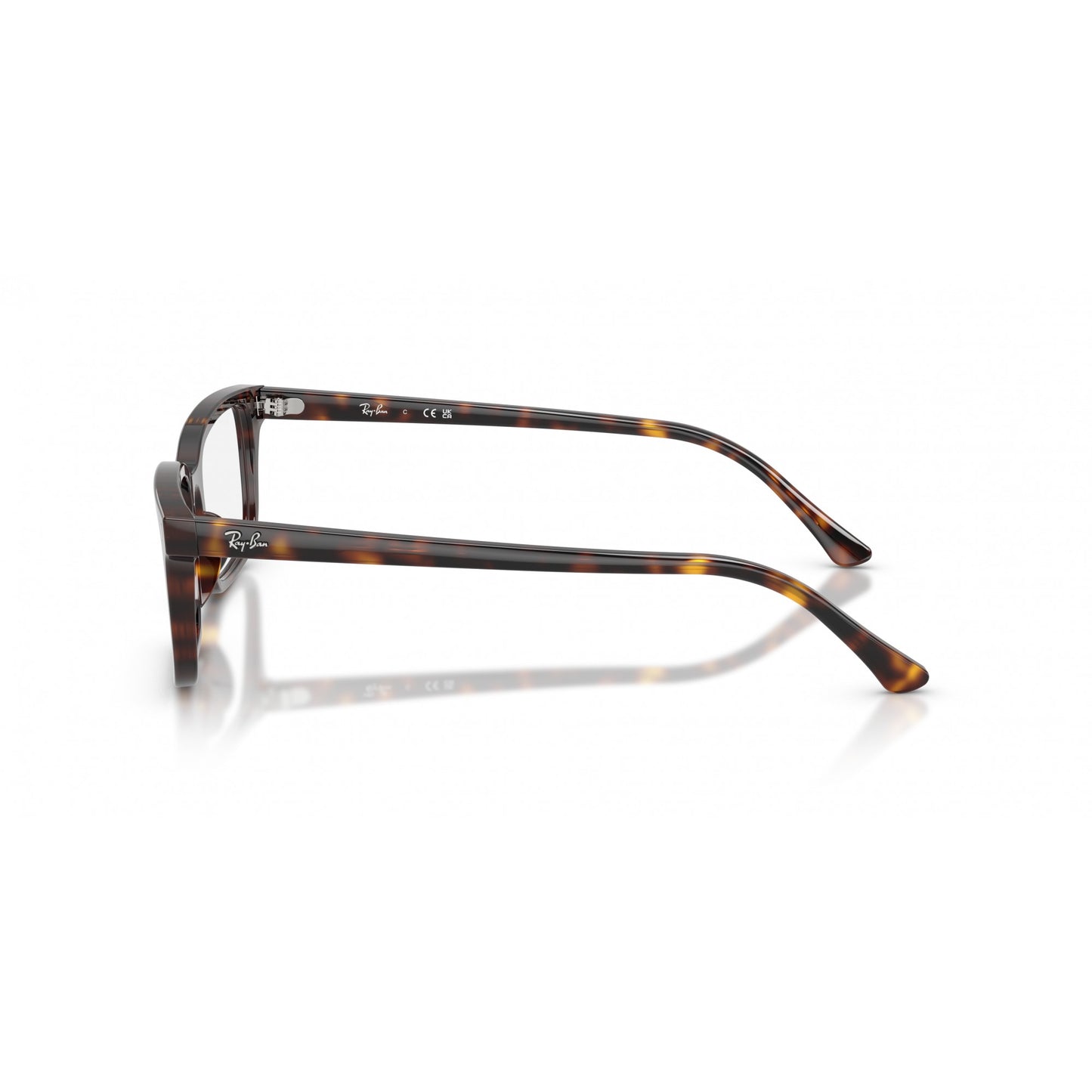 Ray-Ban 0RX5445