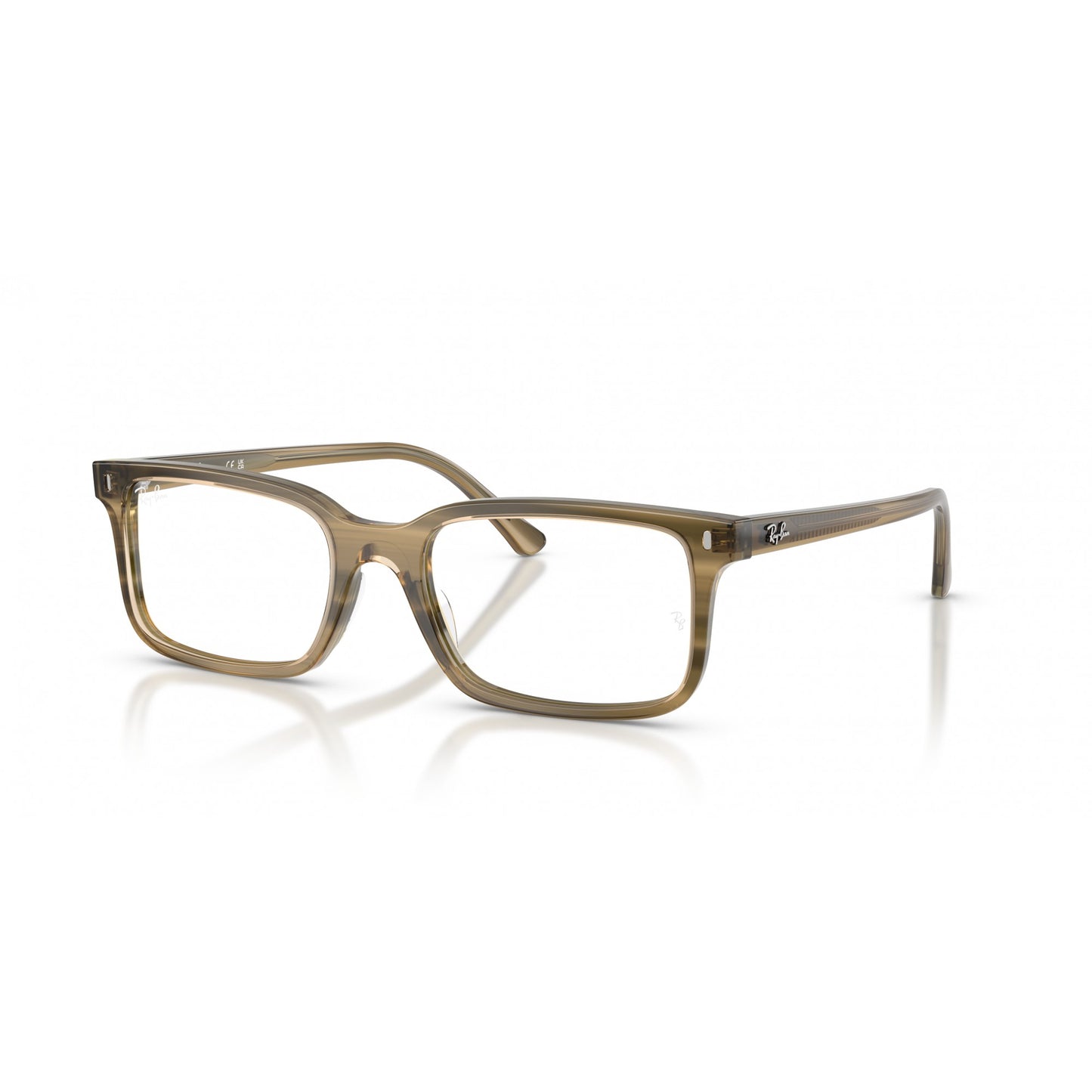 Ray-Ban 0RX5445