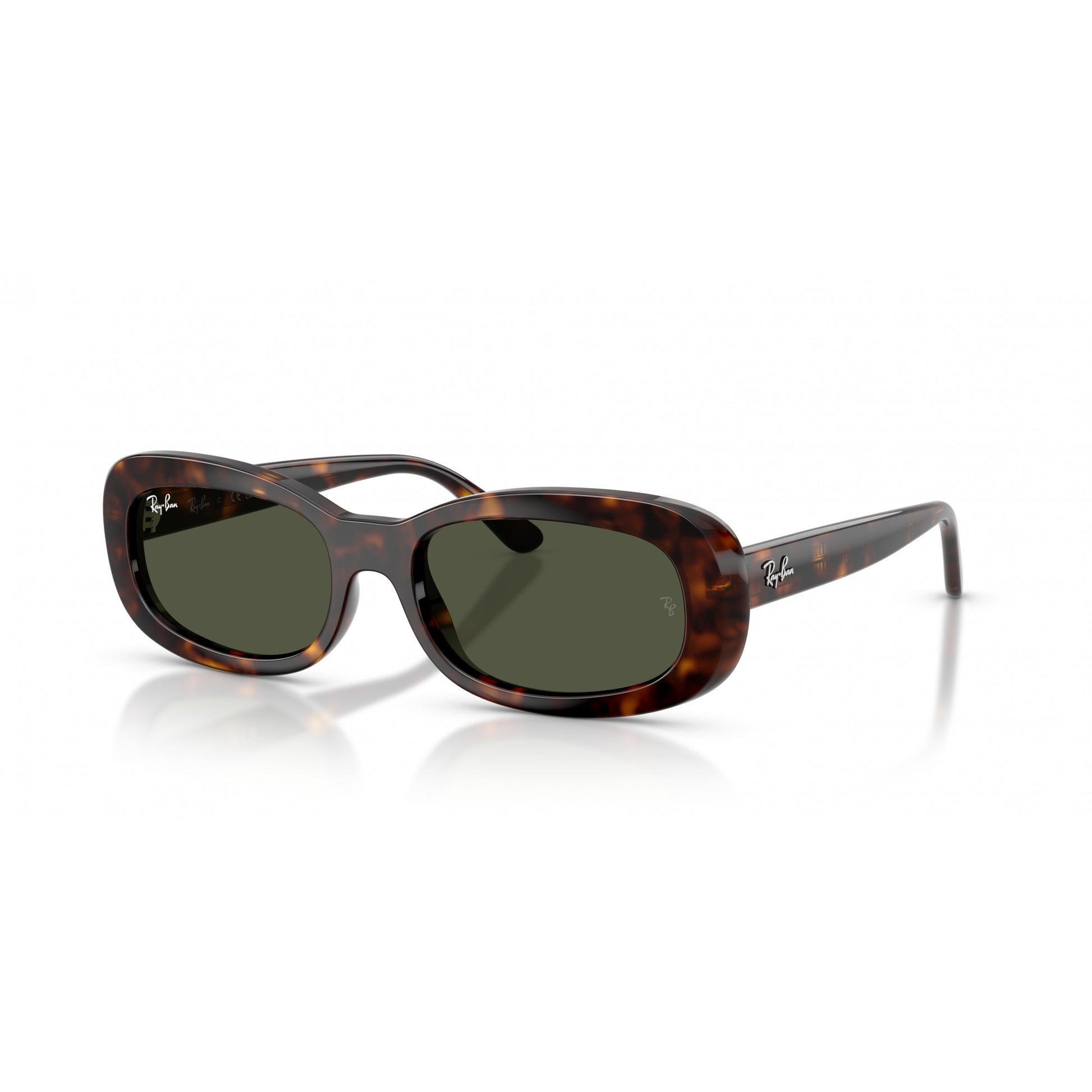Ray-Ban 0RB2221