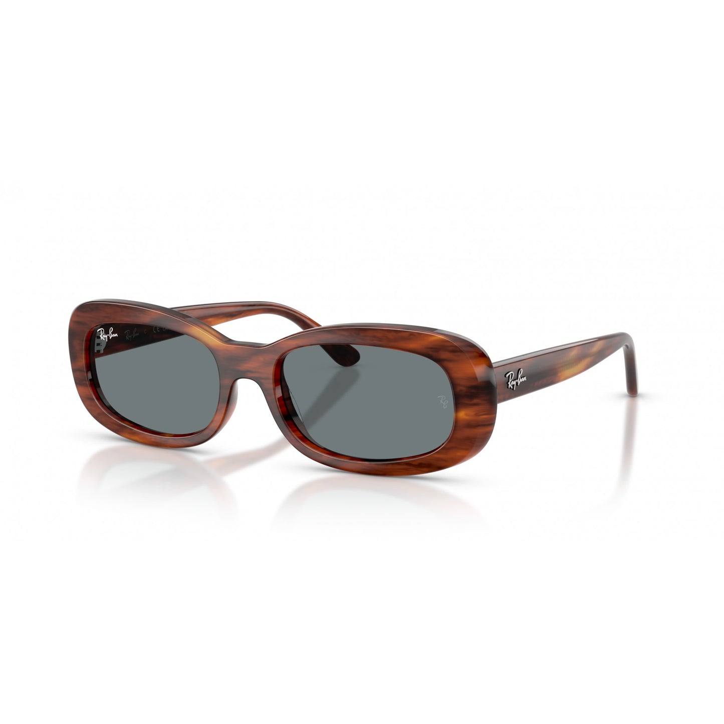 Ray-Ban 0RB2221
