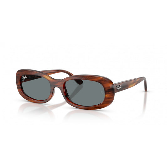 Ray-Ban 0RB2221