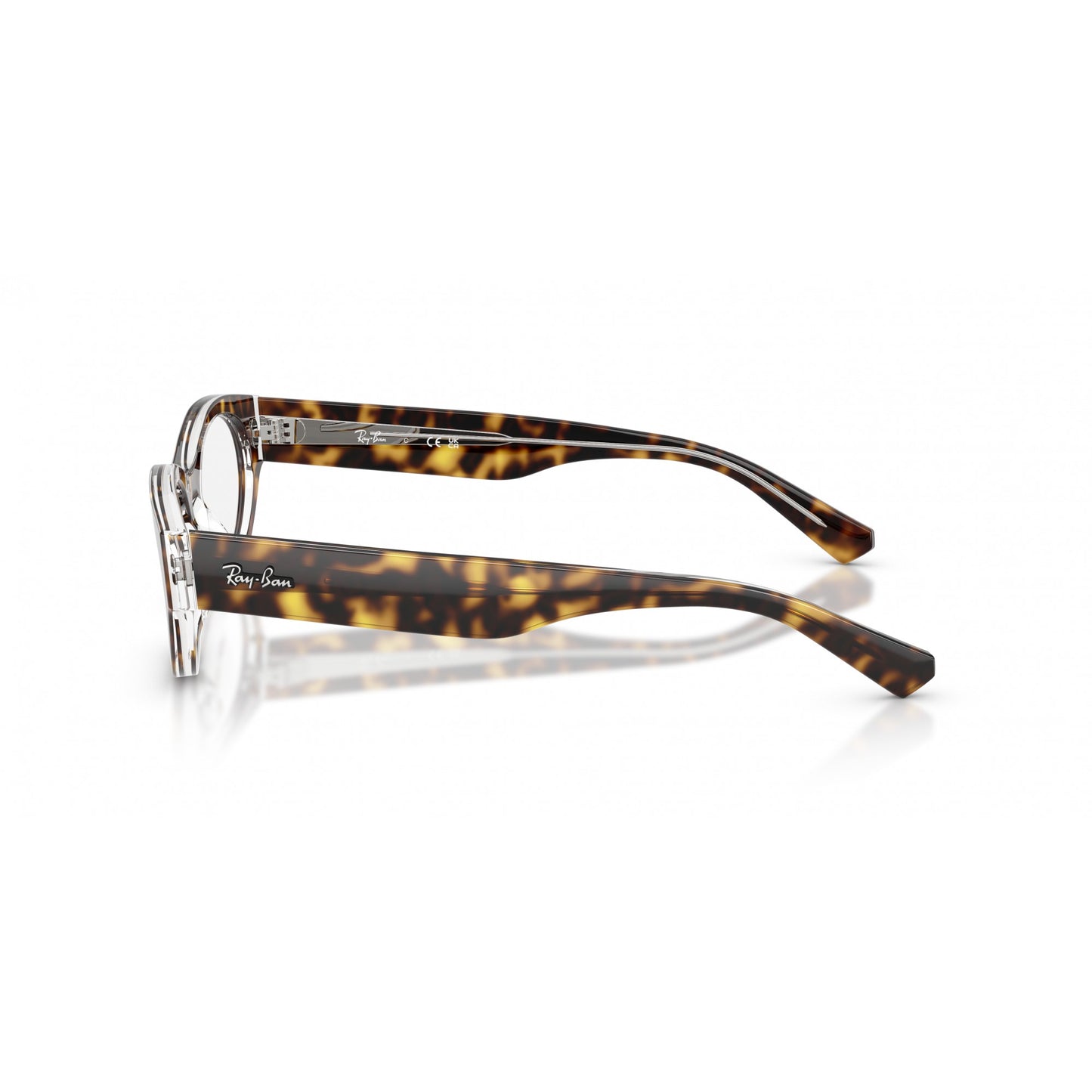 Ray-Ban 0RX5447