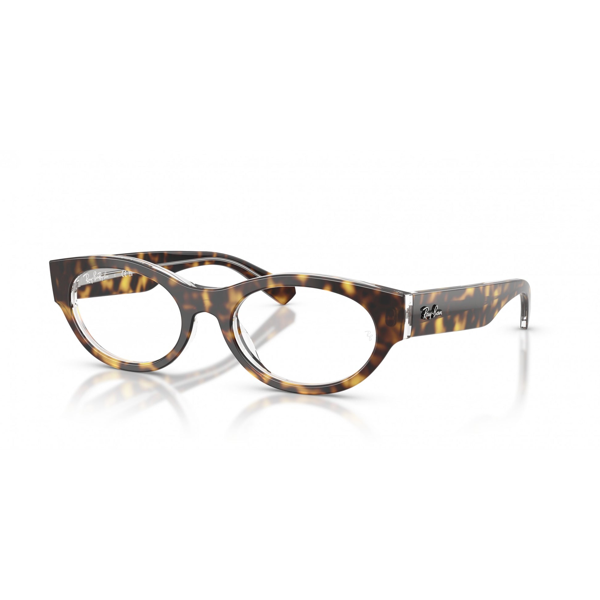 Ray-Ban 0RX5447