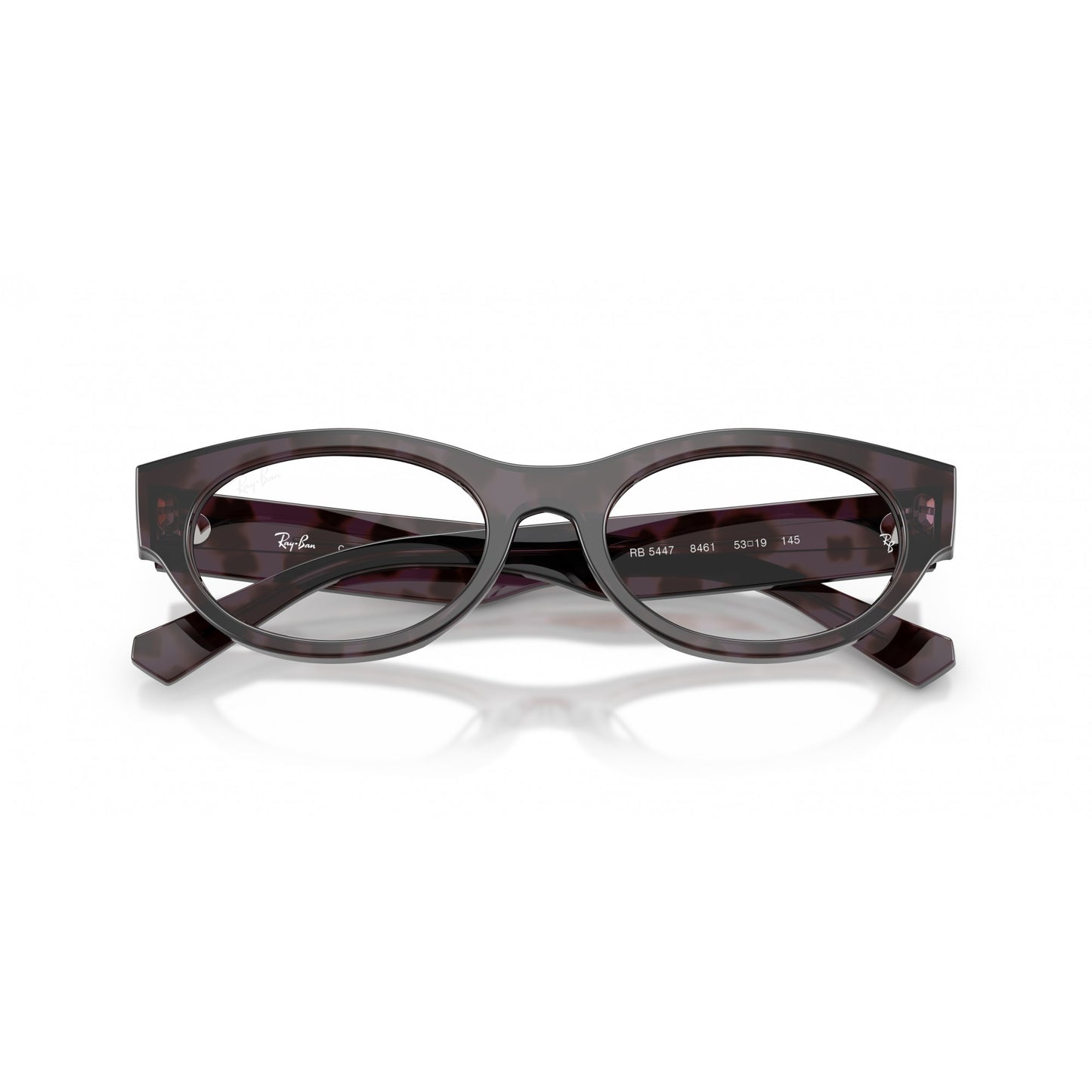 Ray-Ban 0RX5447