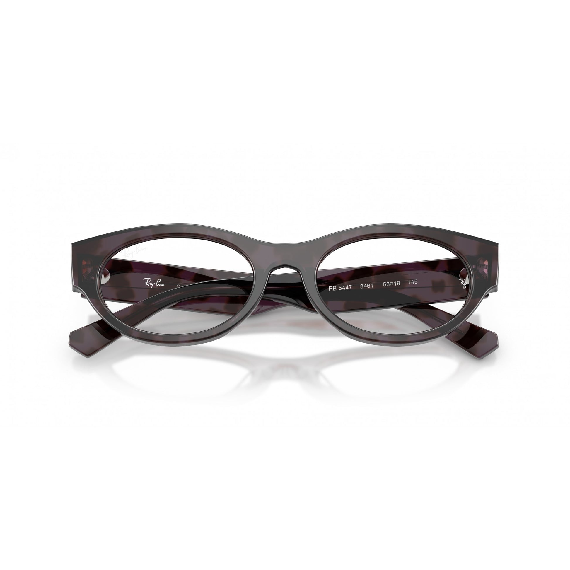 Ray-Ban 0RX5447
