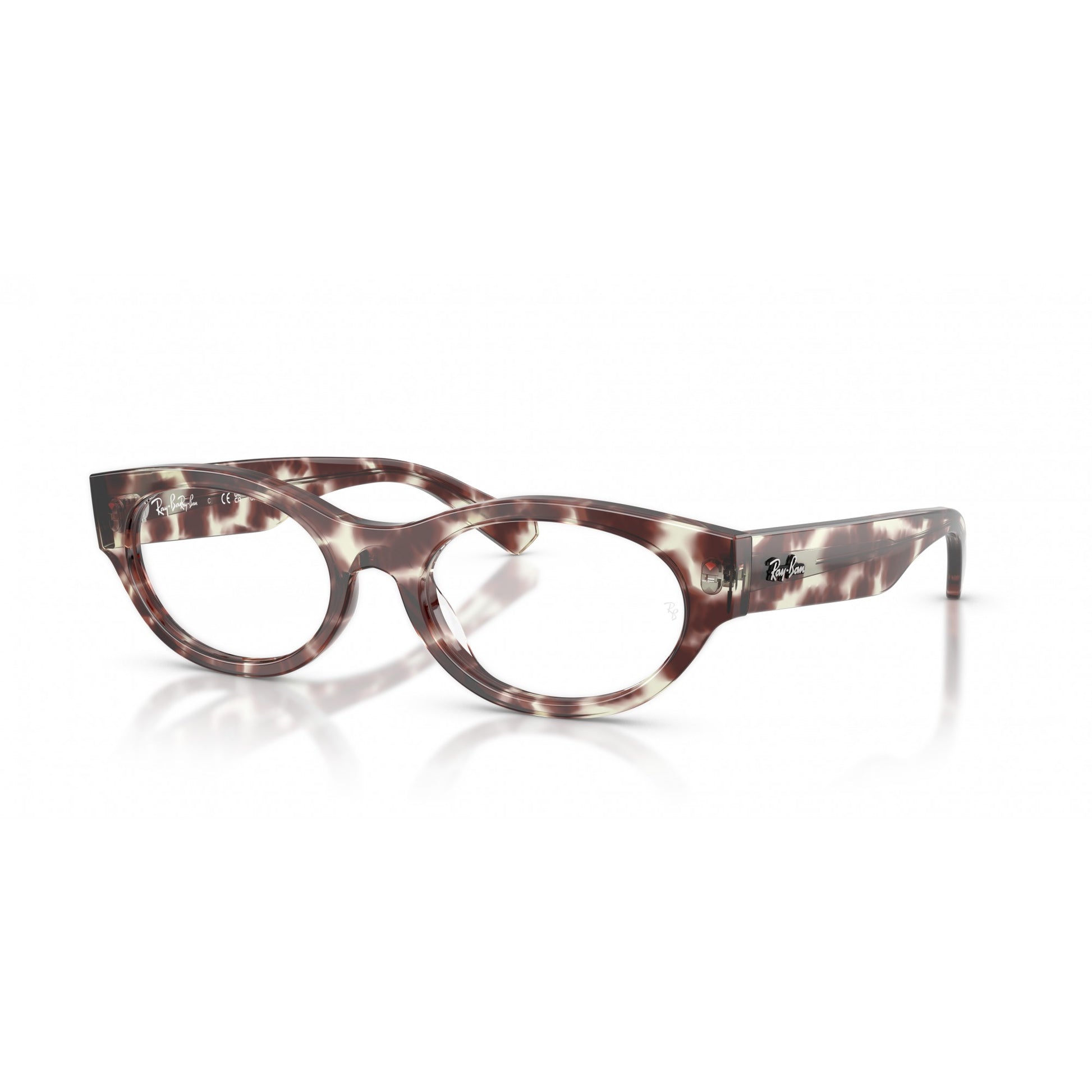 Ray-Ban 0RX5447