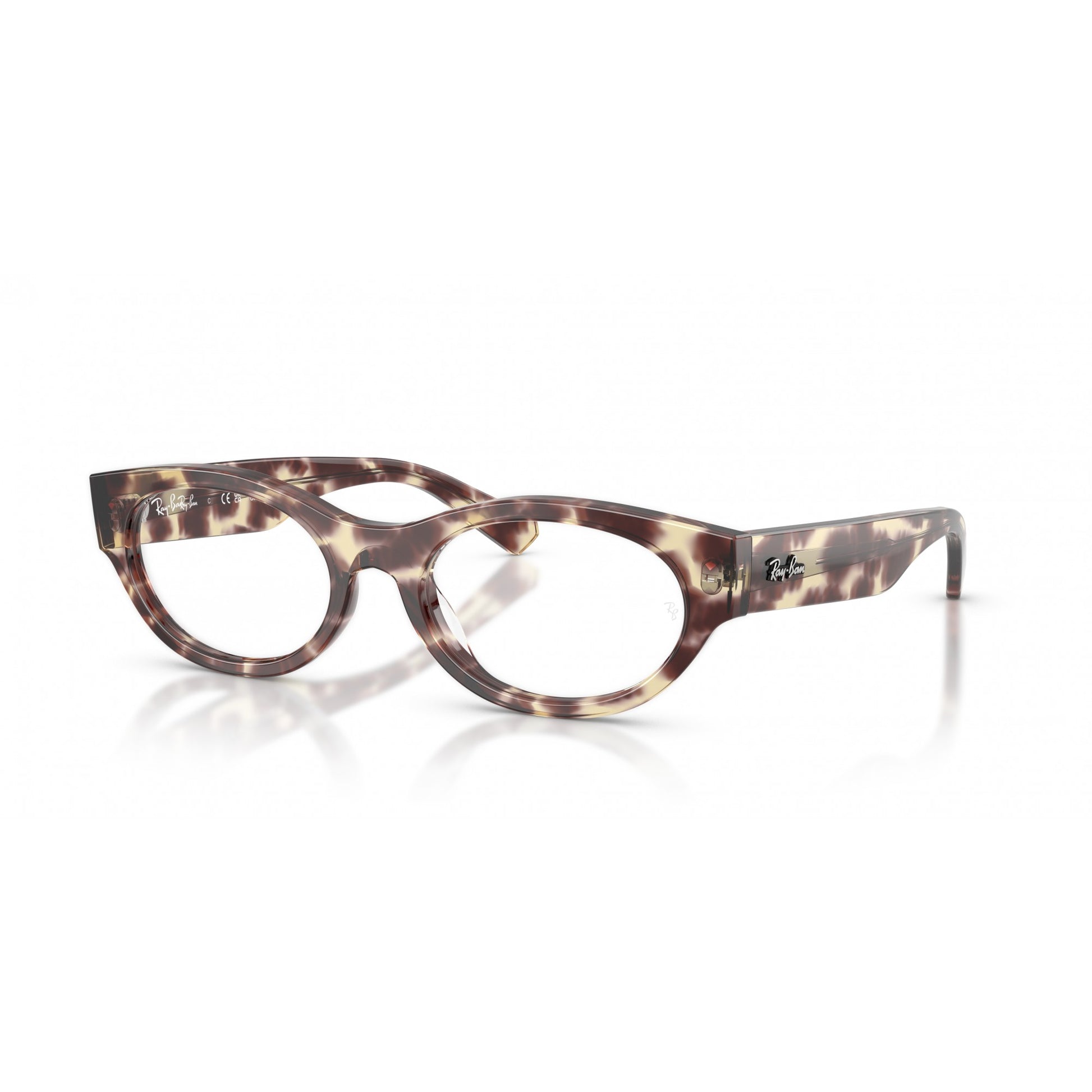 Ray-Ban 0RX5447