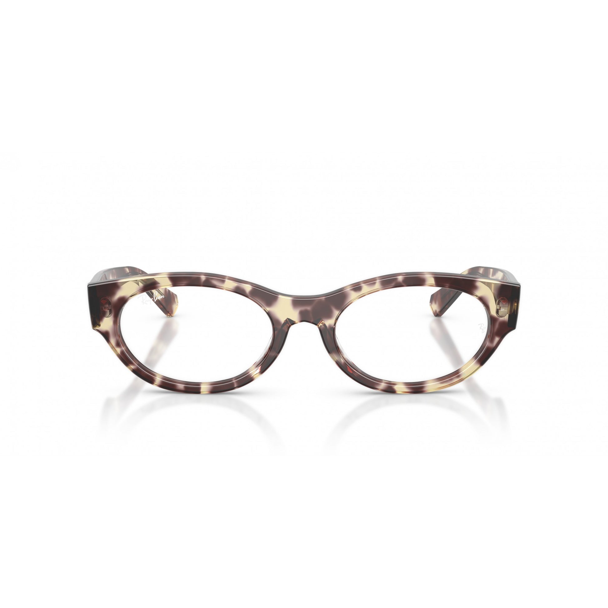 Ray-Ban 0RX5447