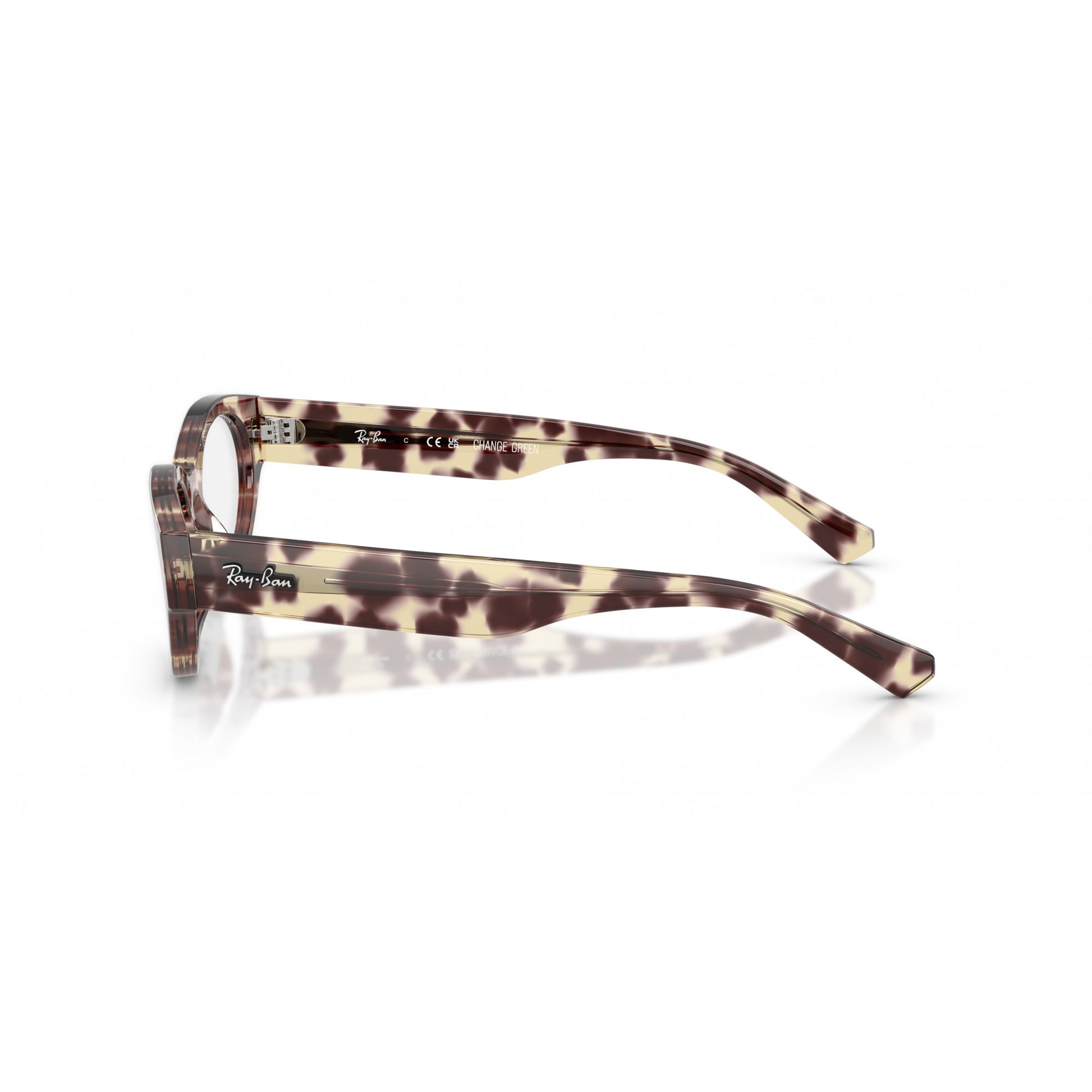 Ray-Ban 0RX5447