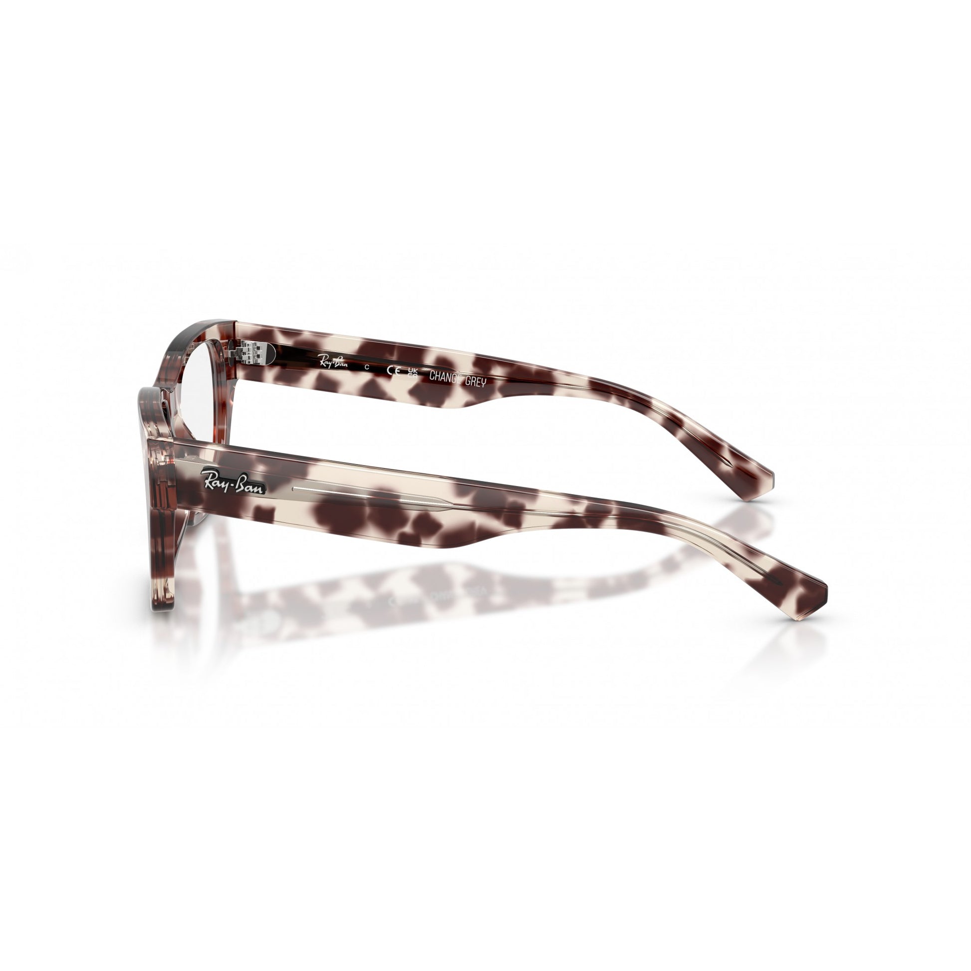 Ray-Ban 0RX5448