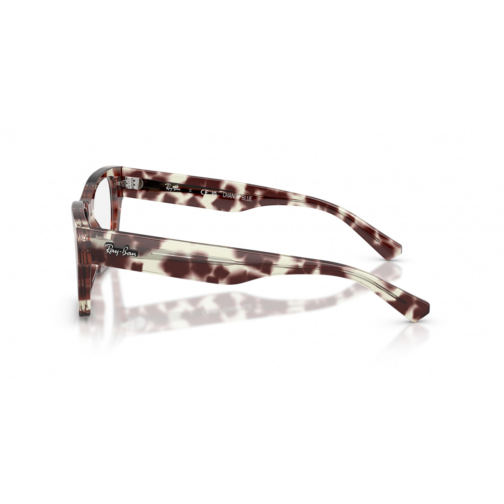 Ray-Ban 0RX5448
