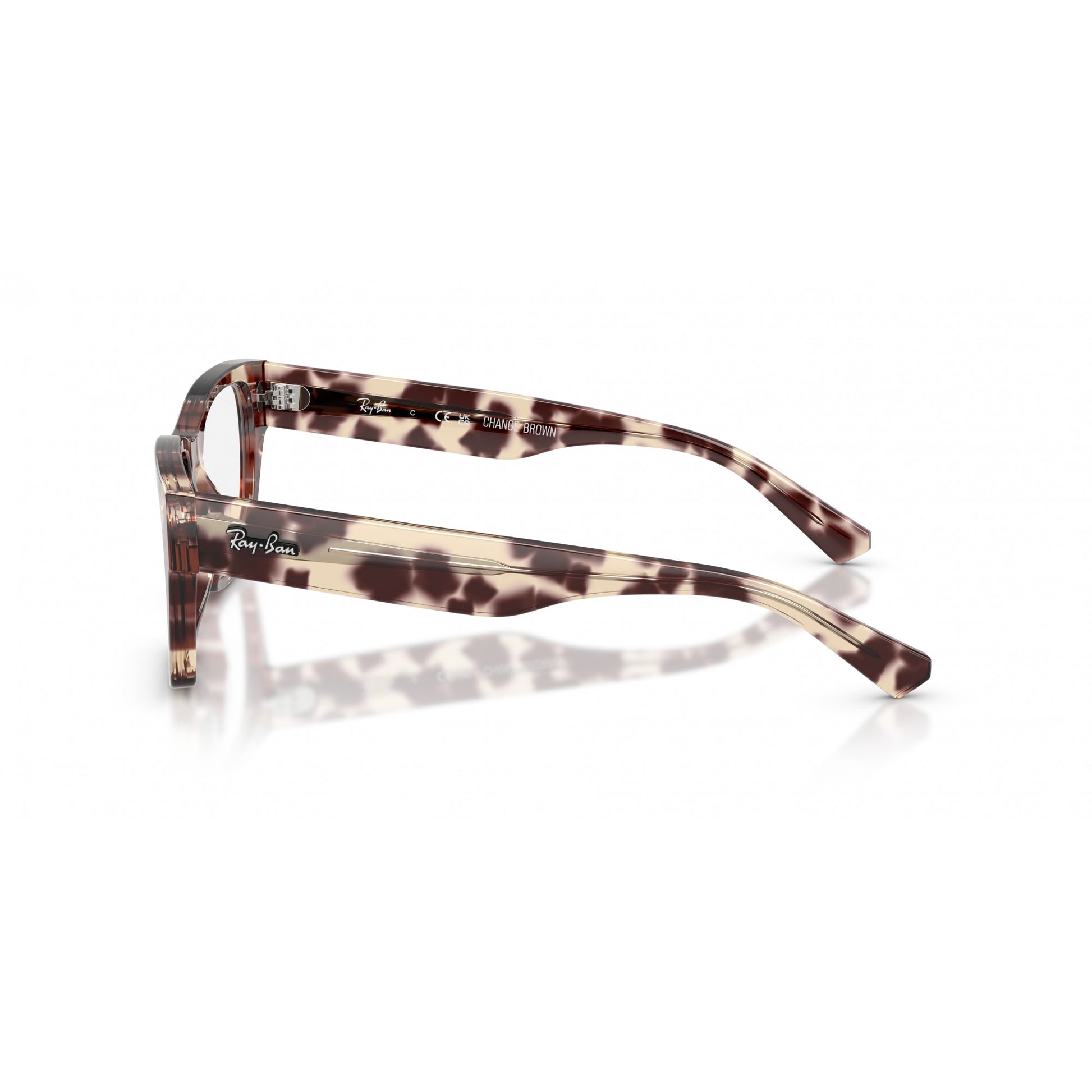 Ray-Ban 0RX5448
