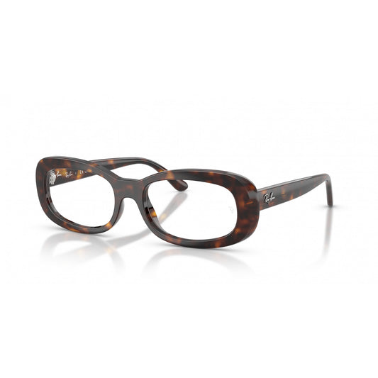 Ray-Ban 0RX2221V