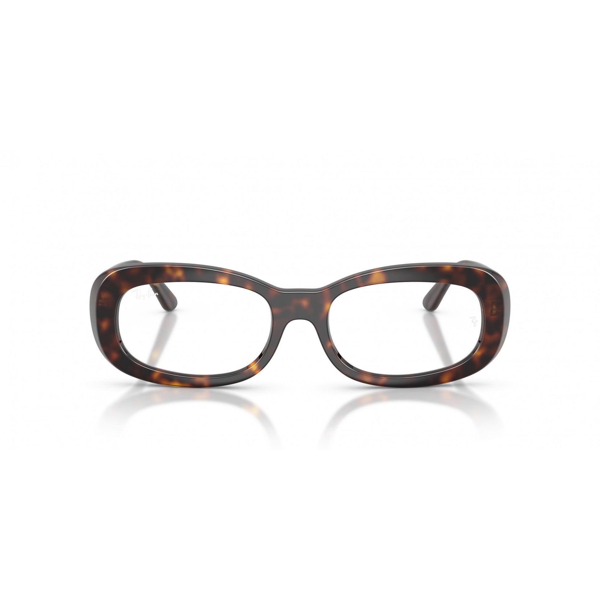 Ray-Ban 0RX2221V