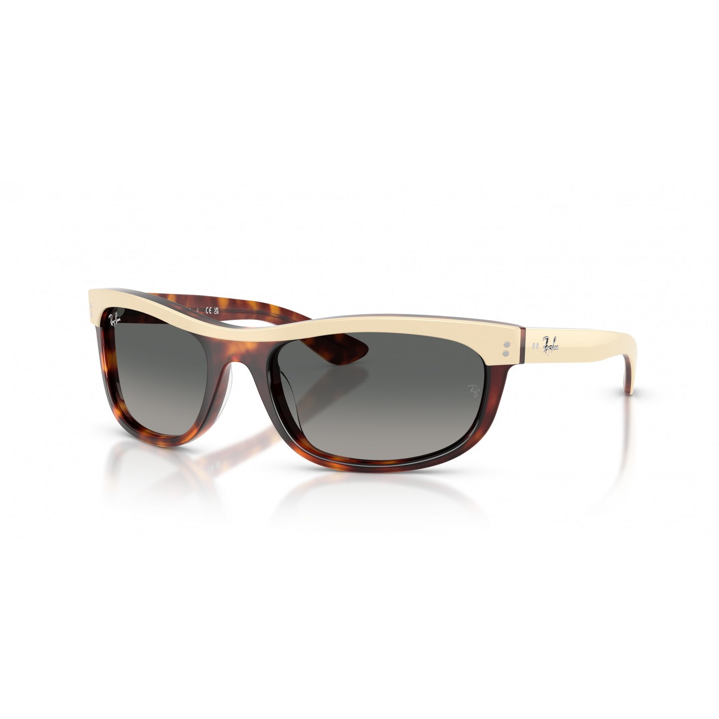 Ray-Ban 0RB2489